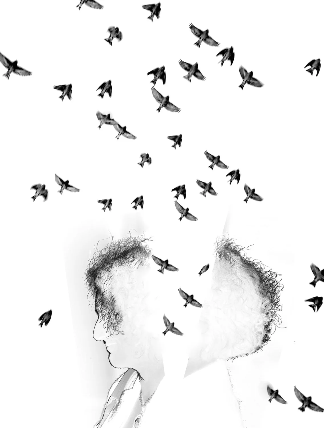 Collages41.jpg