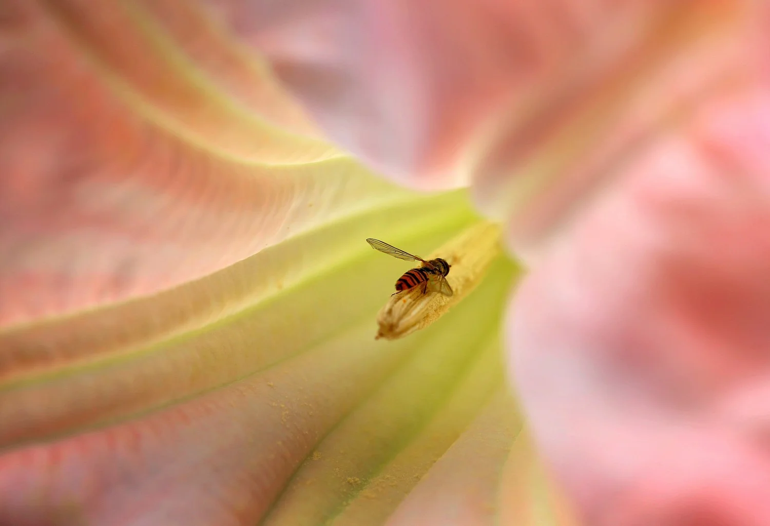 2014-08-004.jpg
