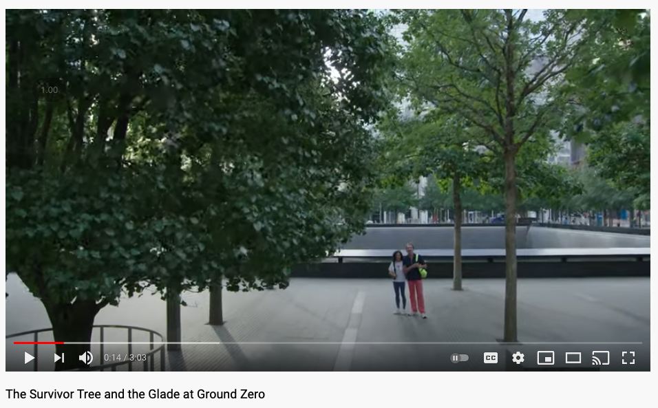 The Survivor Tree and the Glade at Ground Zero 