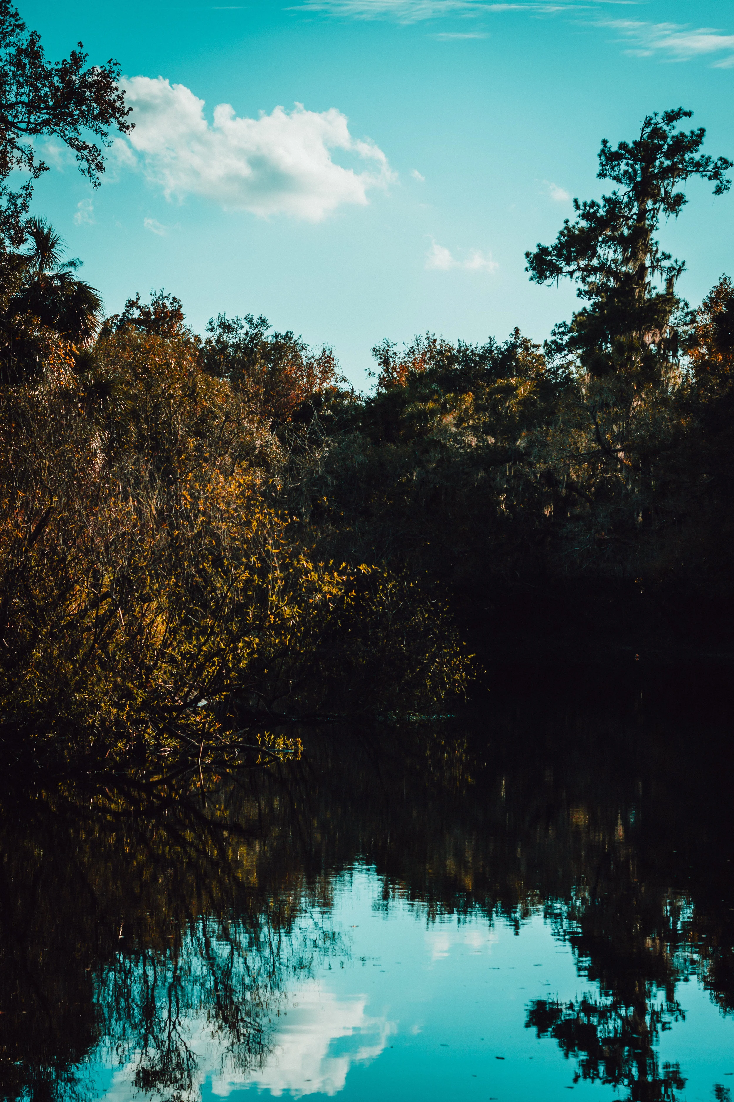 Econlockhatchee River