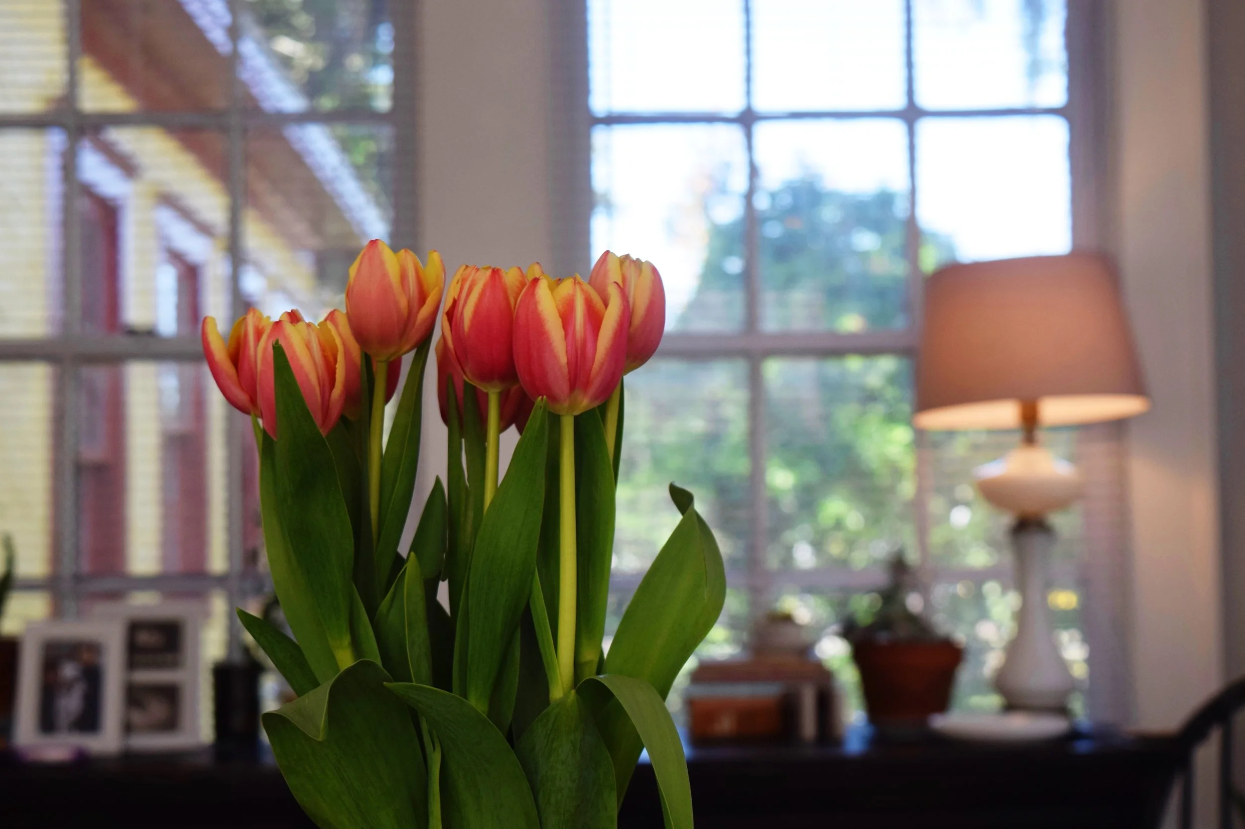 HOSTING A DINNER: TIMELINE