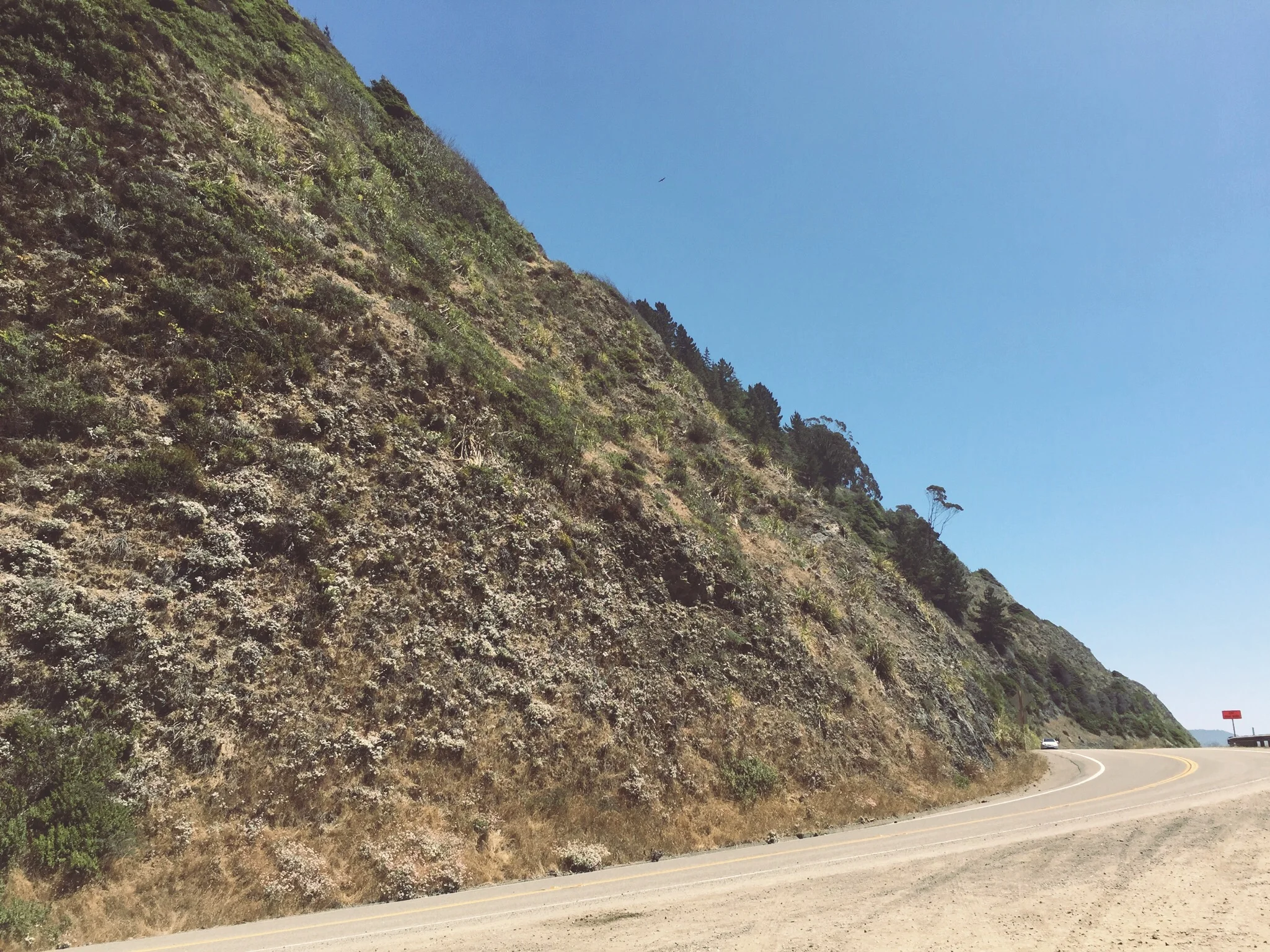 HIGHWAY 1 - CA (via JacinthaPayne.com)