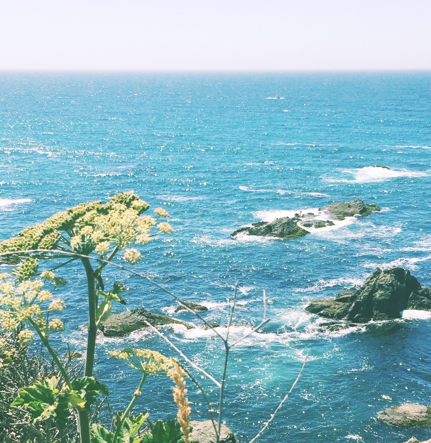 HIGHWAY 1 - CA (via JacinthaPayne.com)
