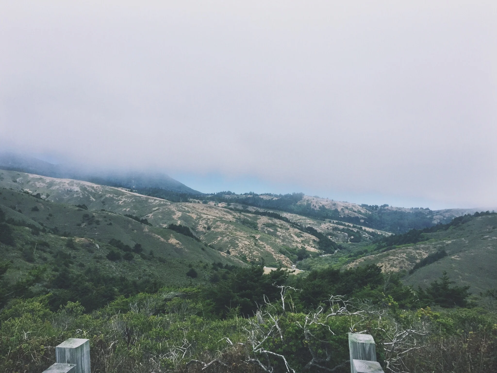 HIGHWAY 1 - CA (via JacinthaPayne.com)