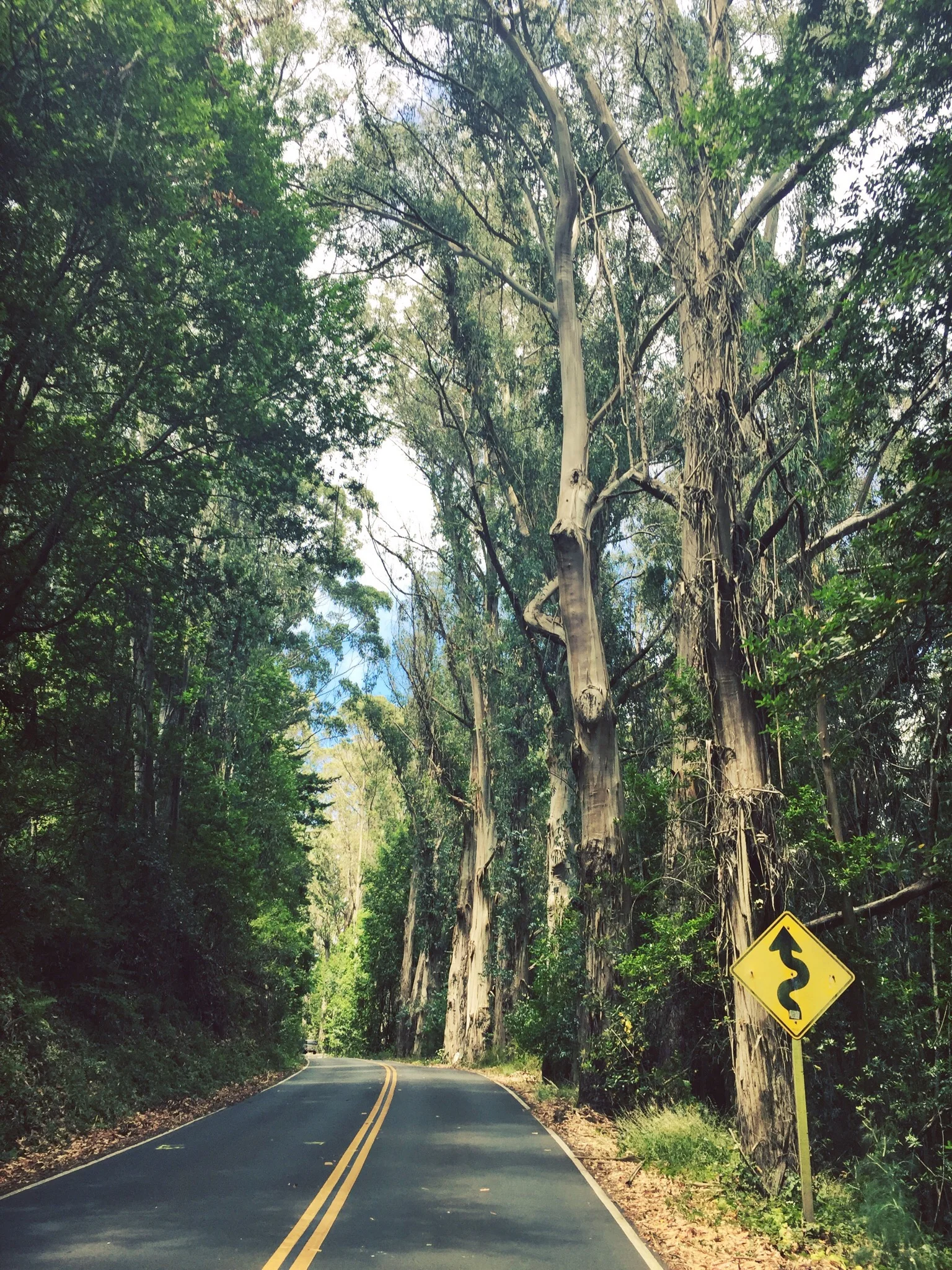 HIGHWAY 1 - CA (via JacinthaPayne.com)
