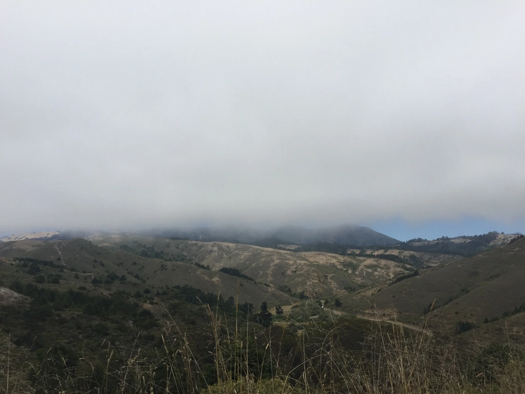 HIGHWAY 1 - CA (via JacinthaPayne.com)