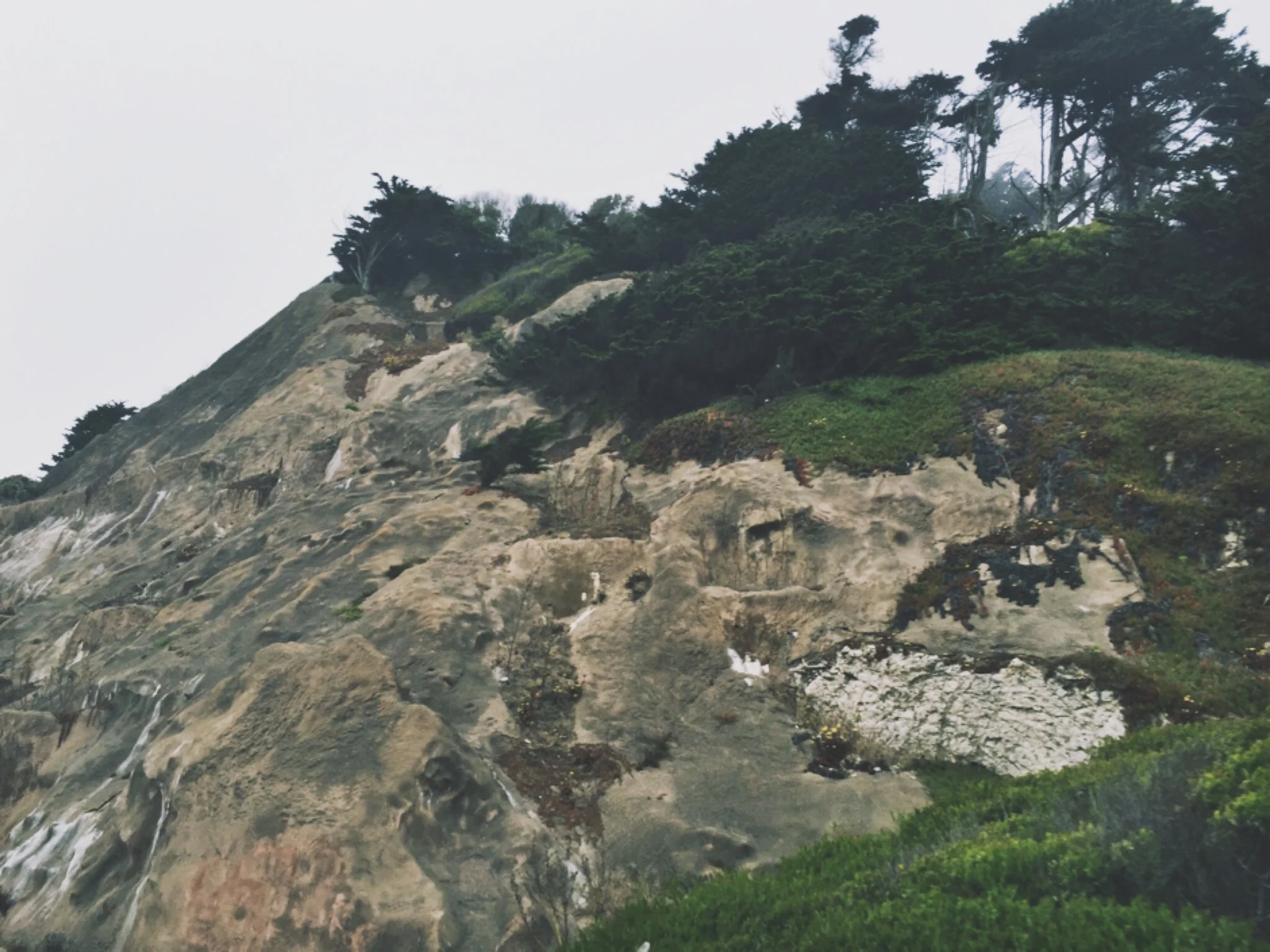 HIGHWAY 1 - CA (via JacinthaPayne.com)