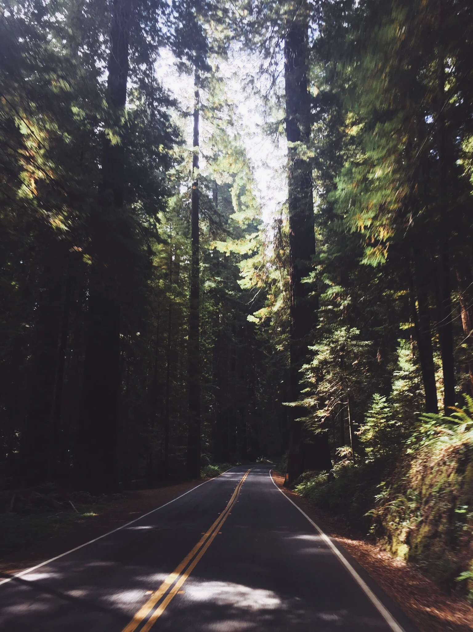 THE GIANTS - CA (via JacinthaPayne.com)