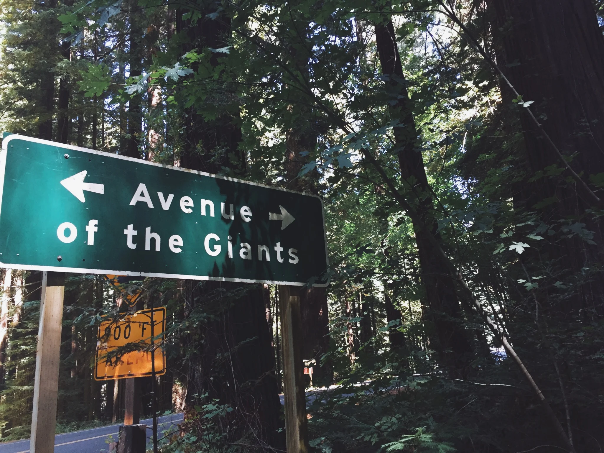 THE GIANTS - CA (via JacinthaPayne.com)