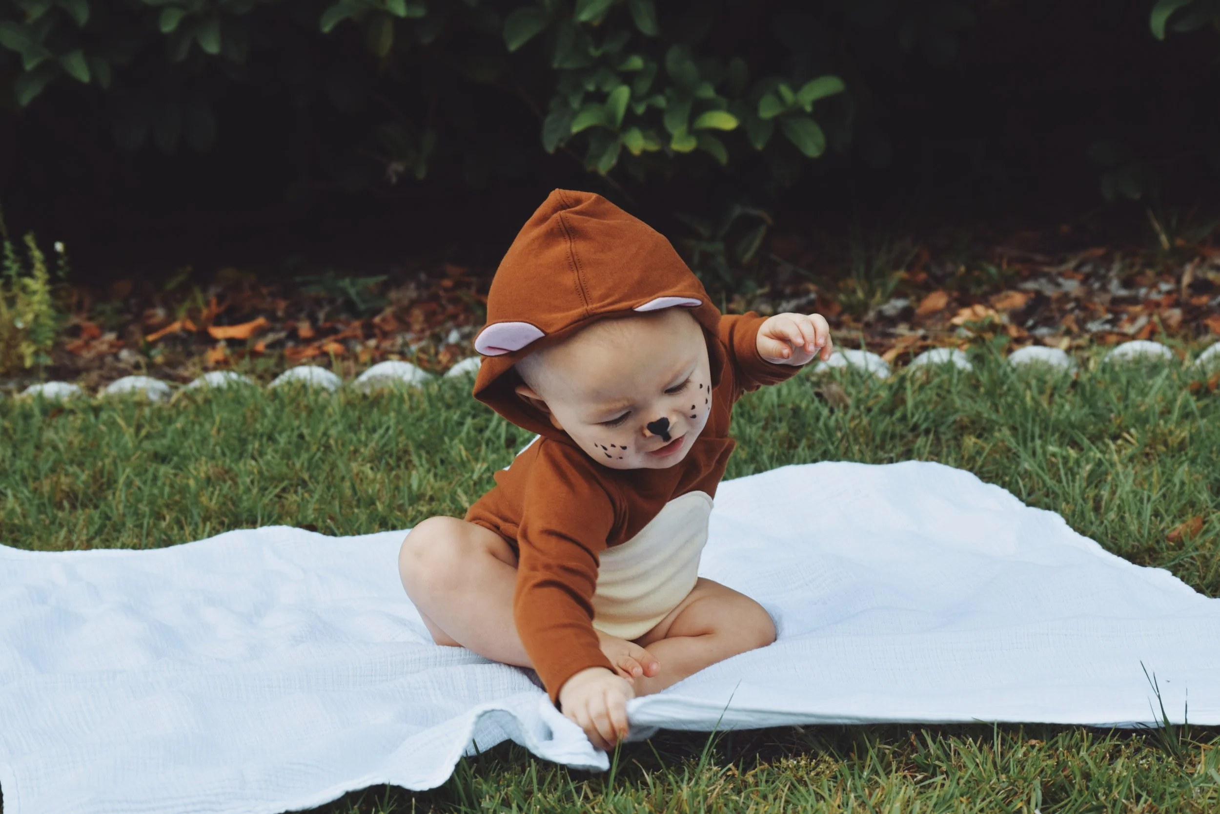 ALL HALLOWS EVE (via JacinthaPayne.com)