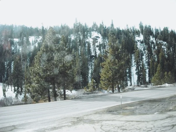 RENO | TAHOE | CARSON CITY - NV (via JacinthaPayne.com)