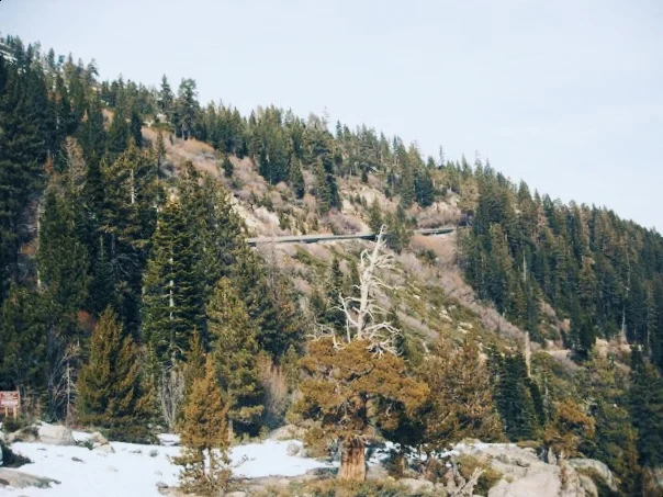 RENO | TAHOE | CARSON CITY - NV (via JacinthaPayne.com)