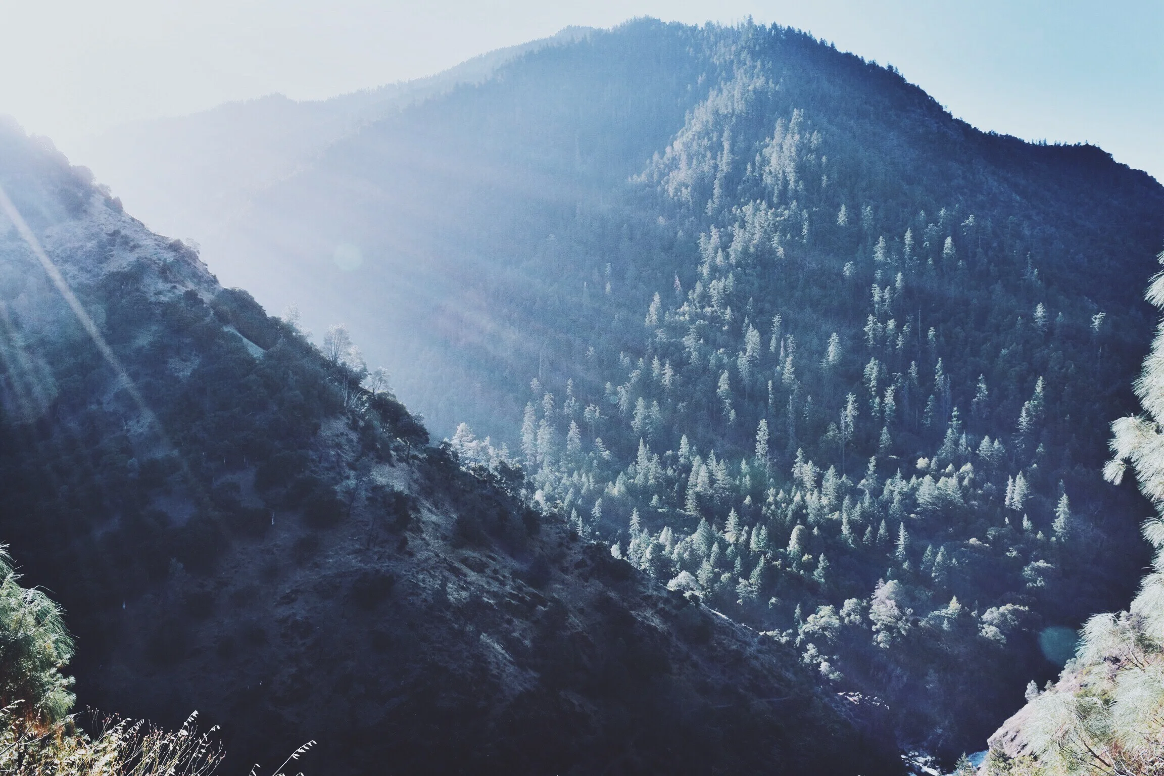 NORTHERN - CA