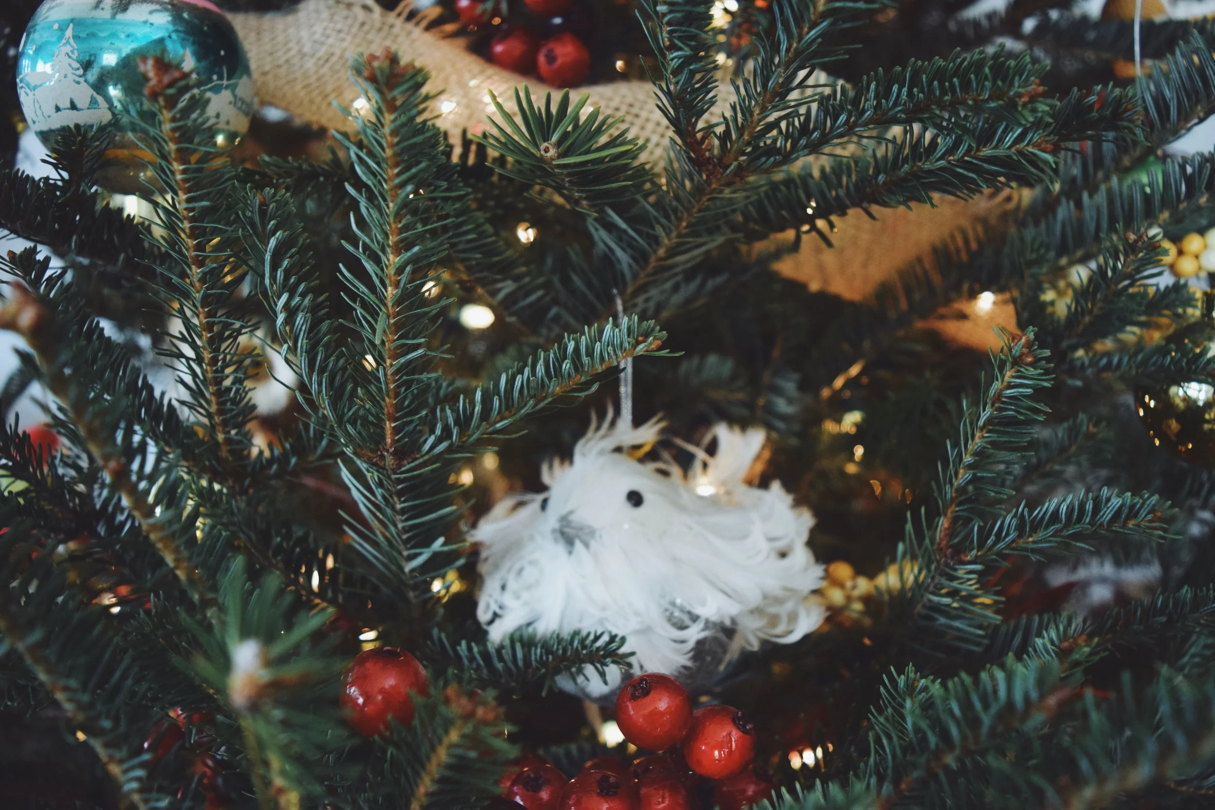 CHRISTMAS THINGS (via Jacinthapayne.com)