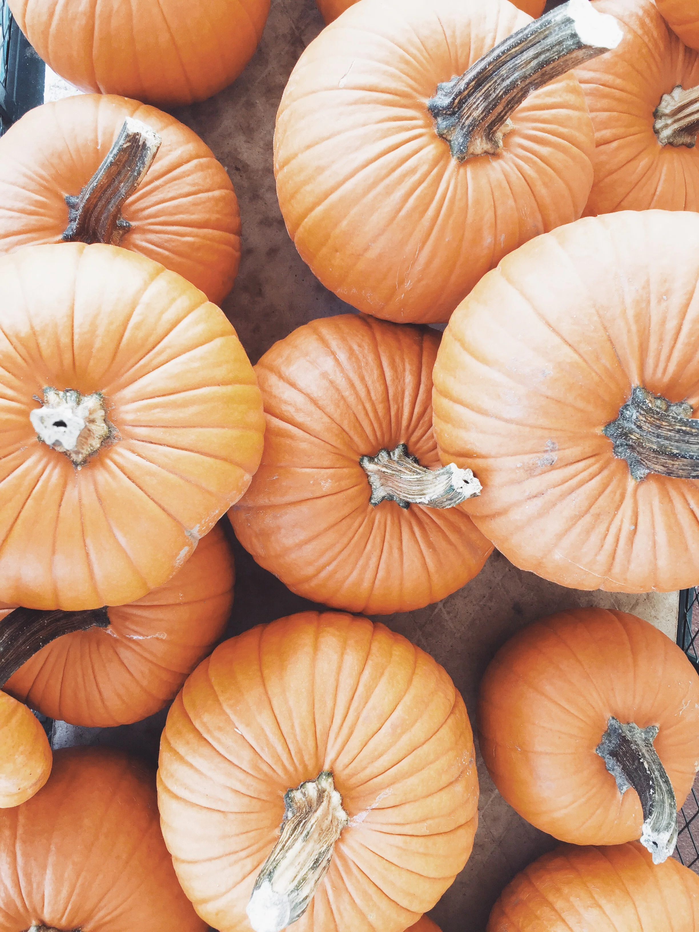 A DAY TO GIVE THANKS (via JacinthaPayne.com)