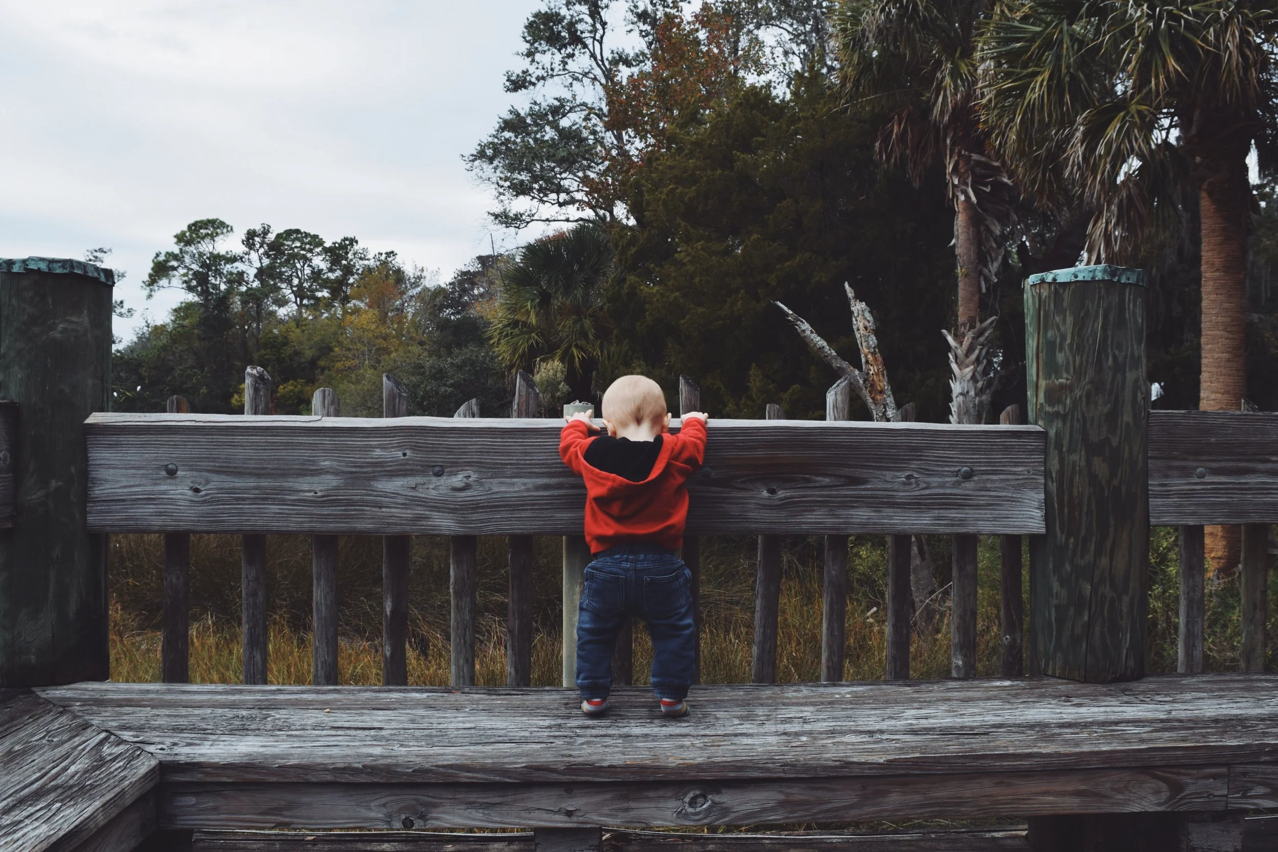 Dec 10 LET'S GO TO THE ZOO! - FL (via JacinthaPayne.com)