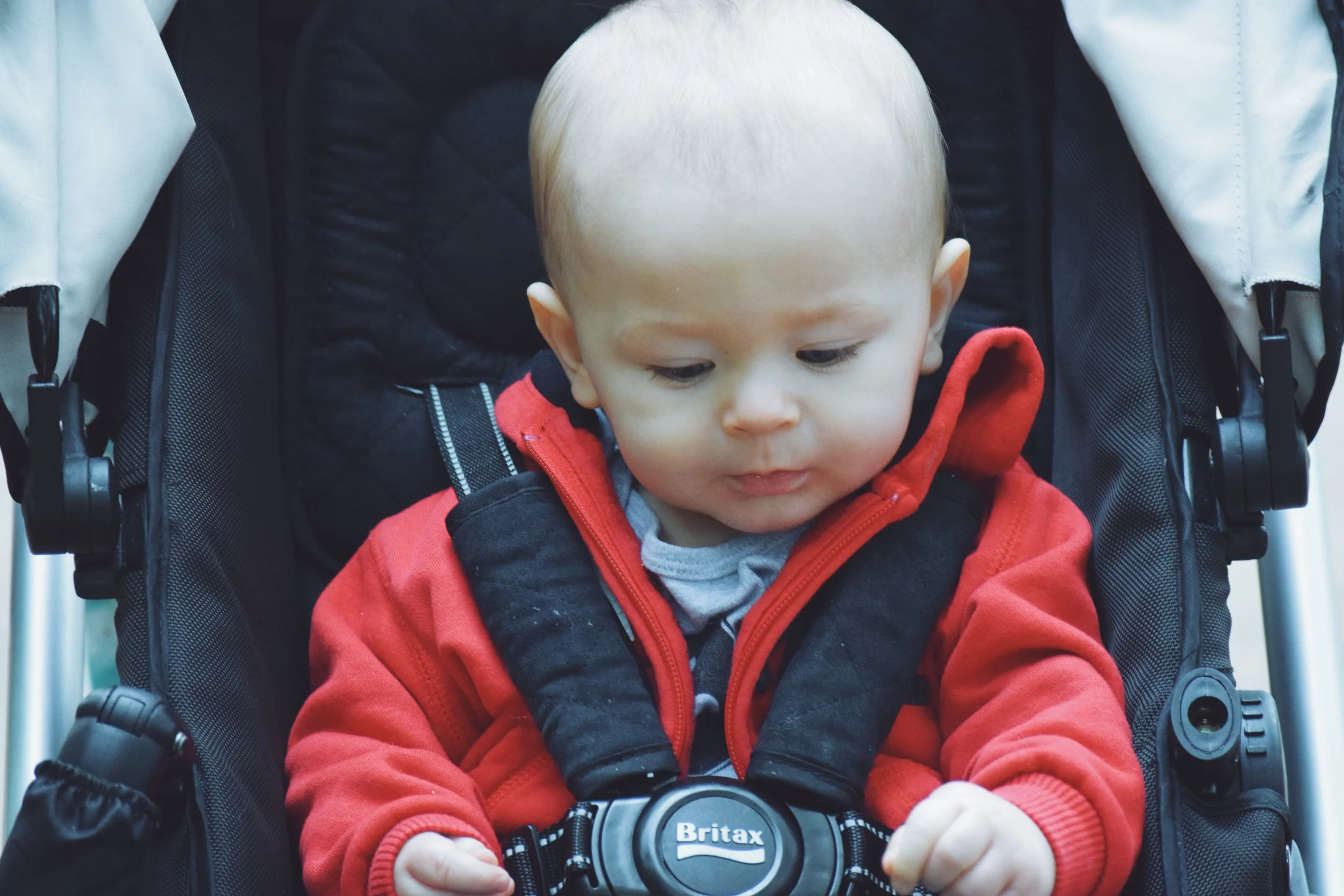 Dec 10 LET'S GO TO THE ZOO! - FL (via JacinthaPayne.com)