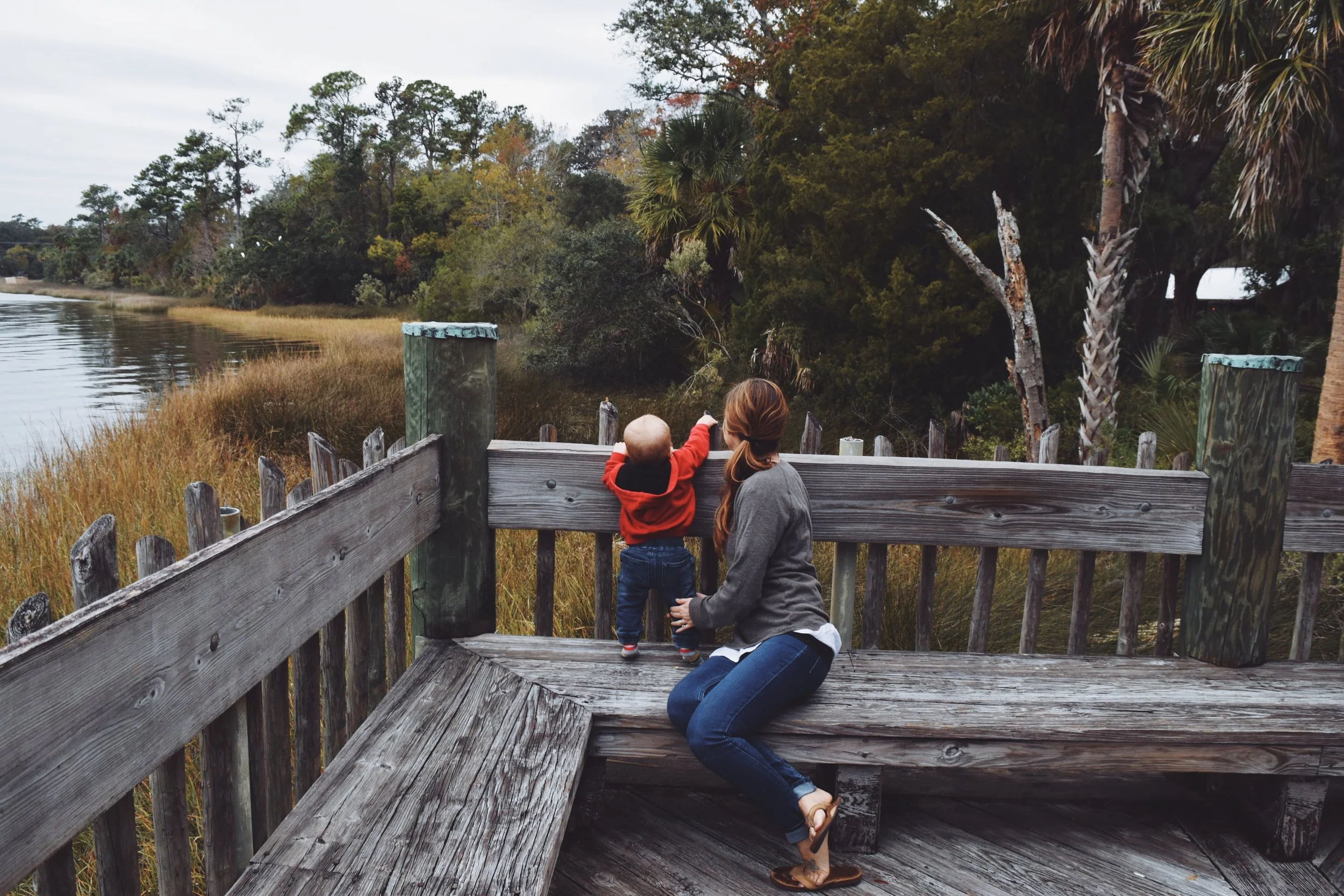 Dec 10 LET'S GO TO THE ZOO! - FL (via JacinthaPayne.com)