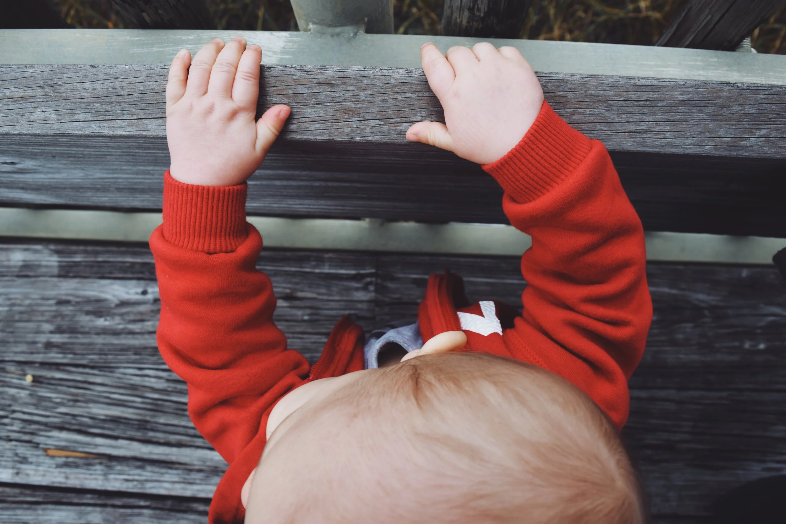 Dec 10 LET'S GO TO THE ZOO! - FL (via JacinthaPayne.com)