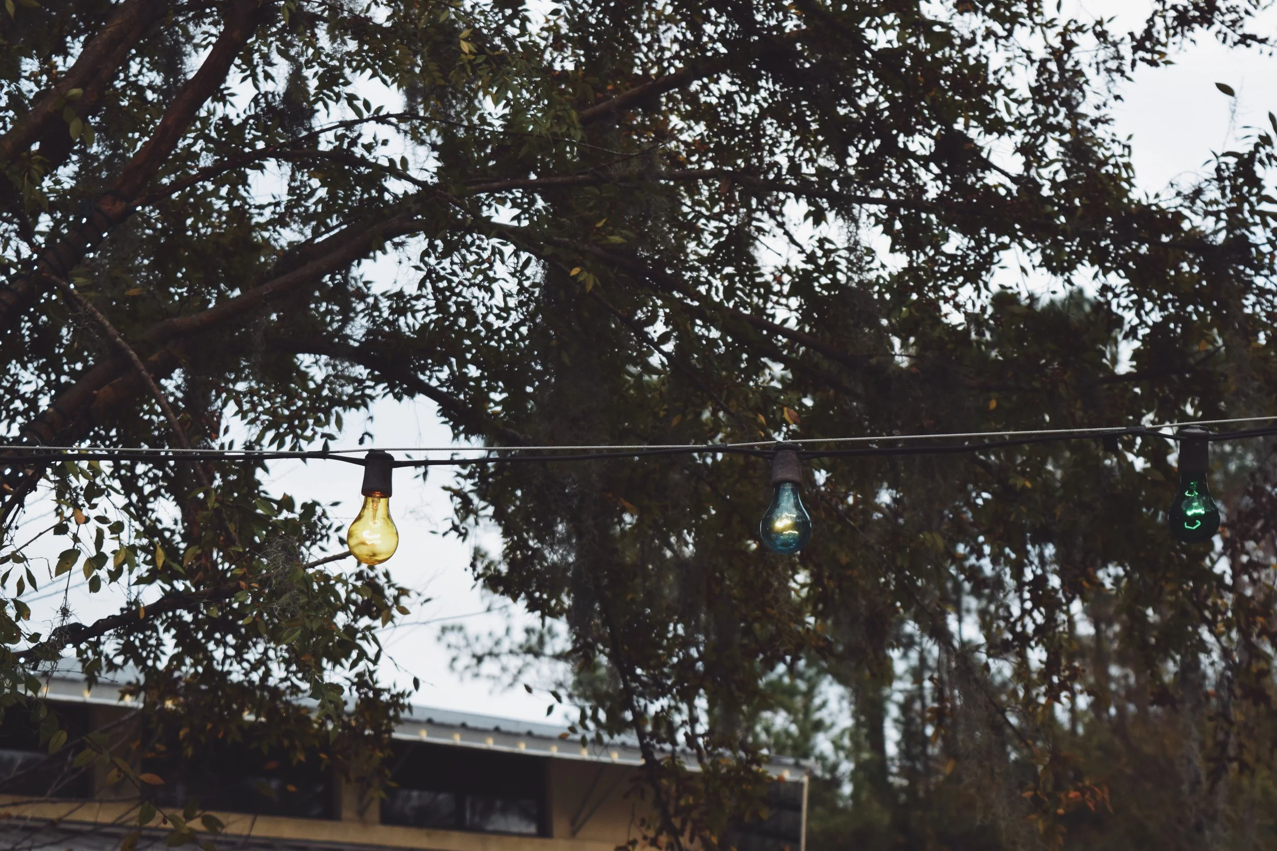 Dec 10 LET'S GO TO THE ZOO! - FL (via JacinthaPayne.com)