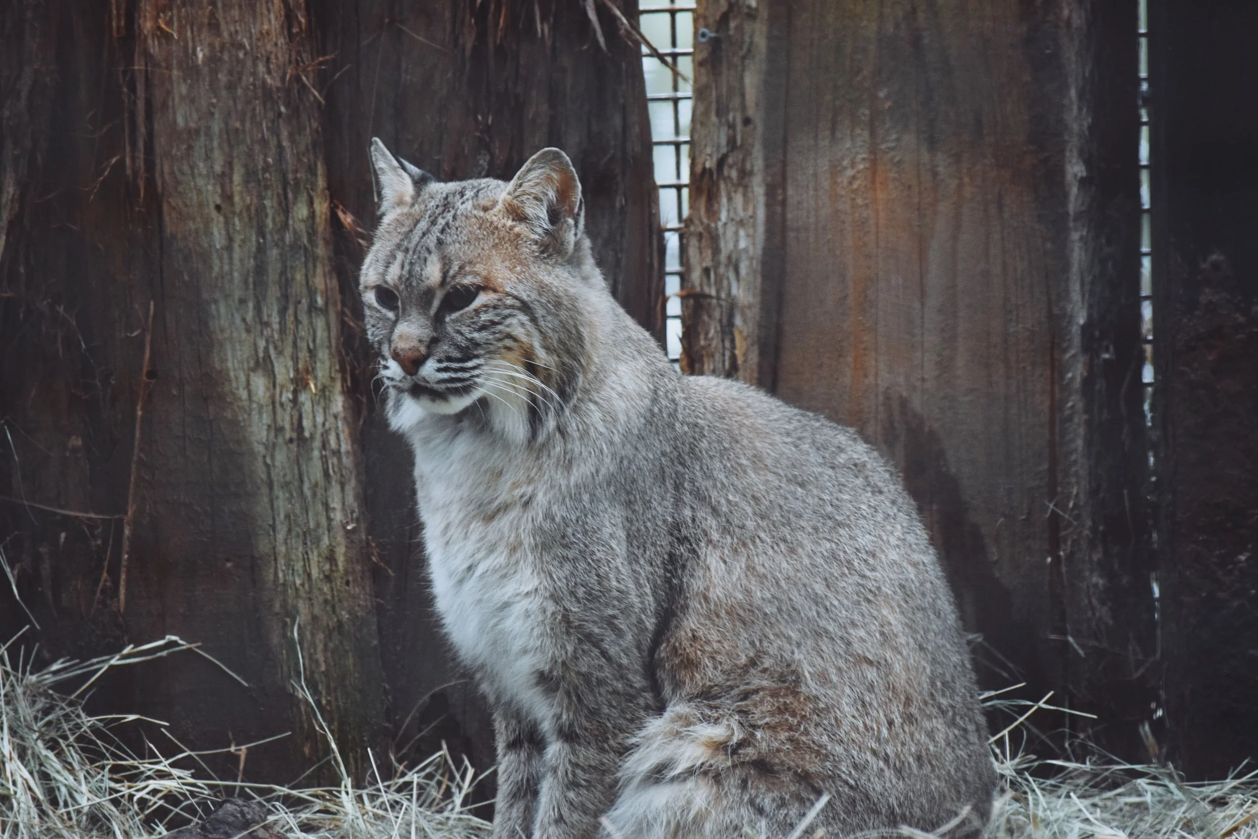 Dec 10 LET'S GO TO THE ZOO! - FL (via JacinthaPayne.com)