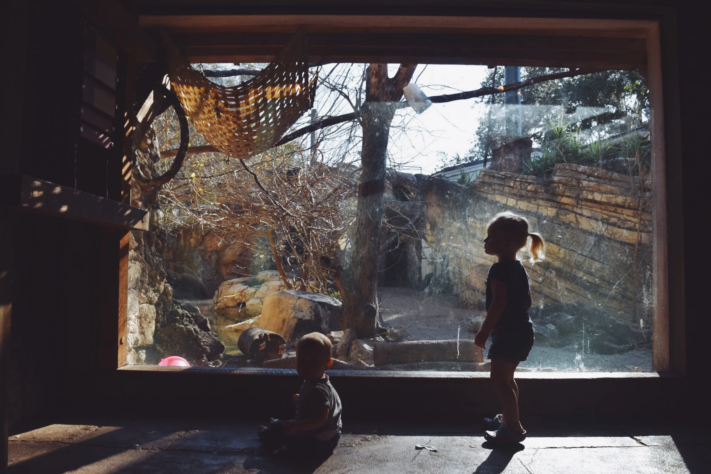 Dec 10 LET'S GO TO THE ZOO! - FL (via JacinthaPayne.com)