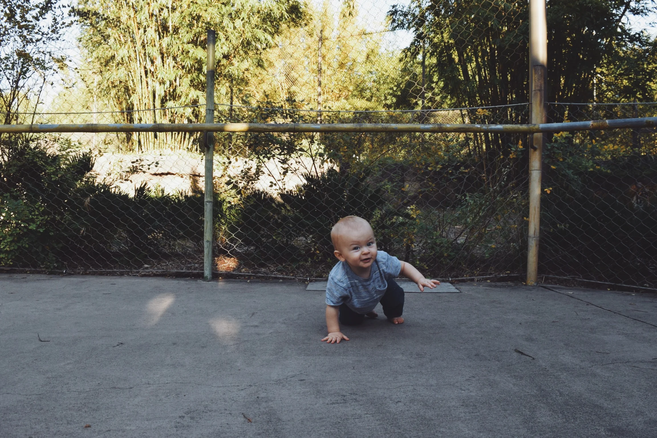 Dec 10 LET'S GO TO THE ZOO! - FL (via JacinthaPayne.com)