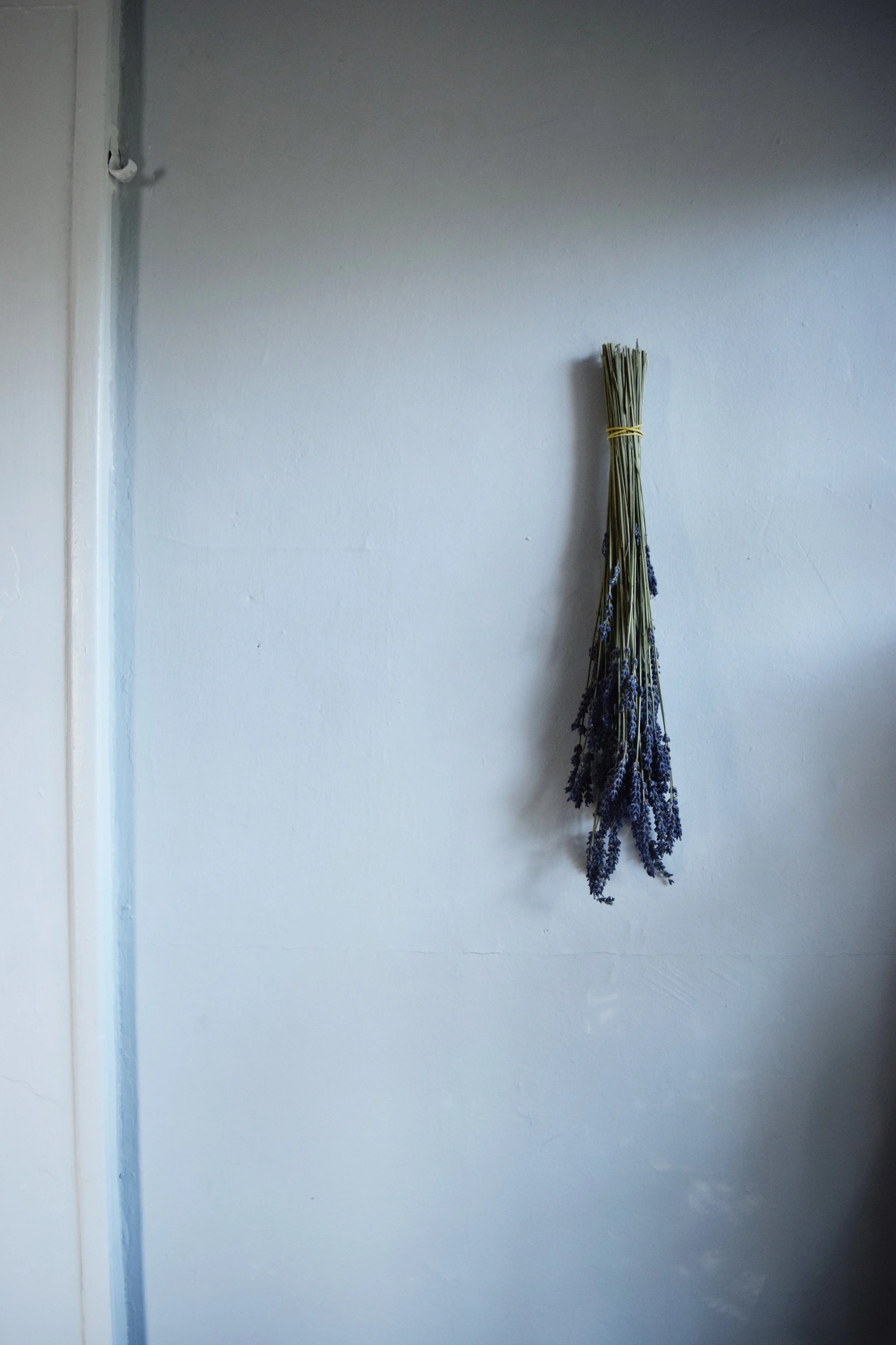 Kitchen - Before and After (via JacinthaPayne.com)