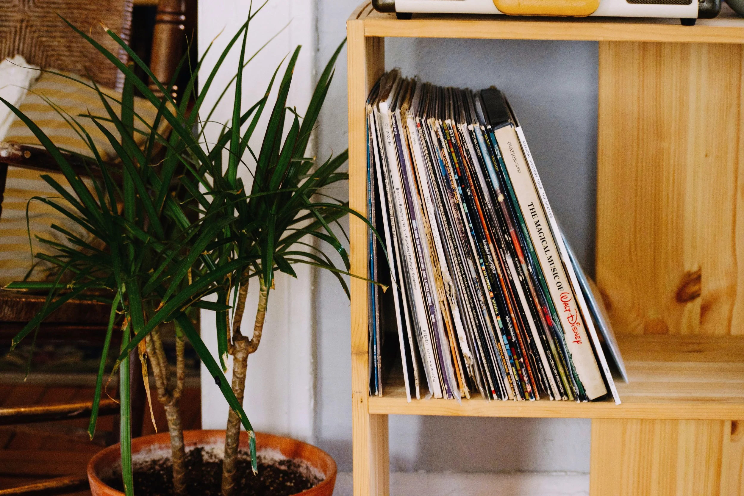 LIVING ROOM (BEFORE & AFTER) (Via: JacinthaPayne.com)