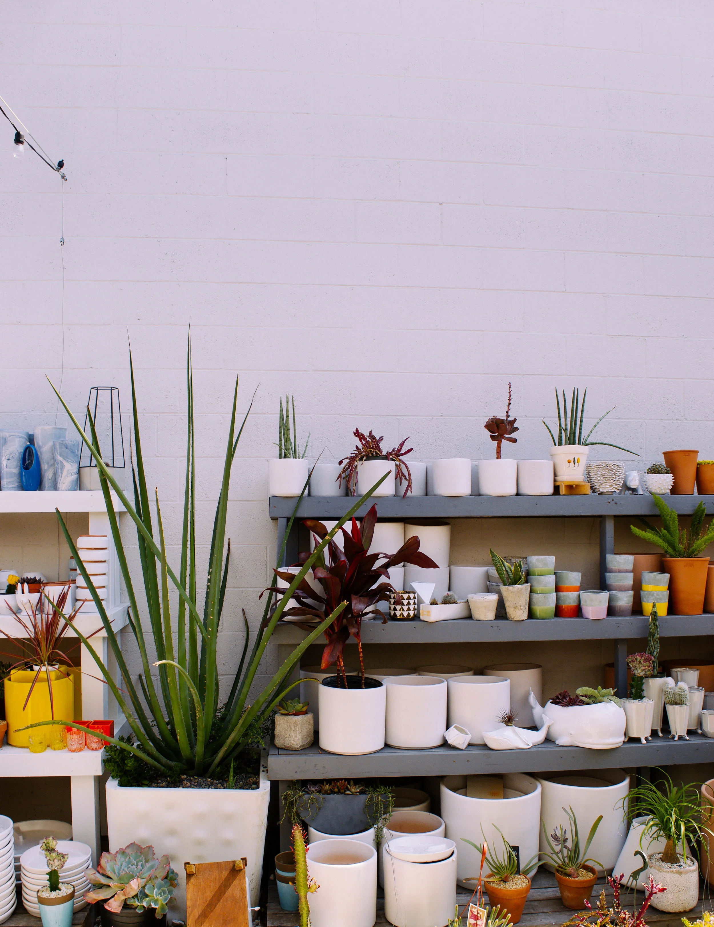 ADVENTURES IN ABBOTT KINNEY - CA (Via: JacinthaPayne.com)