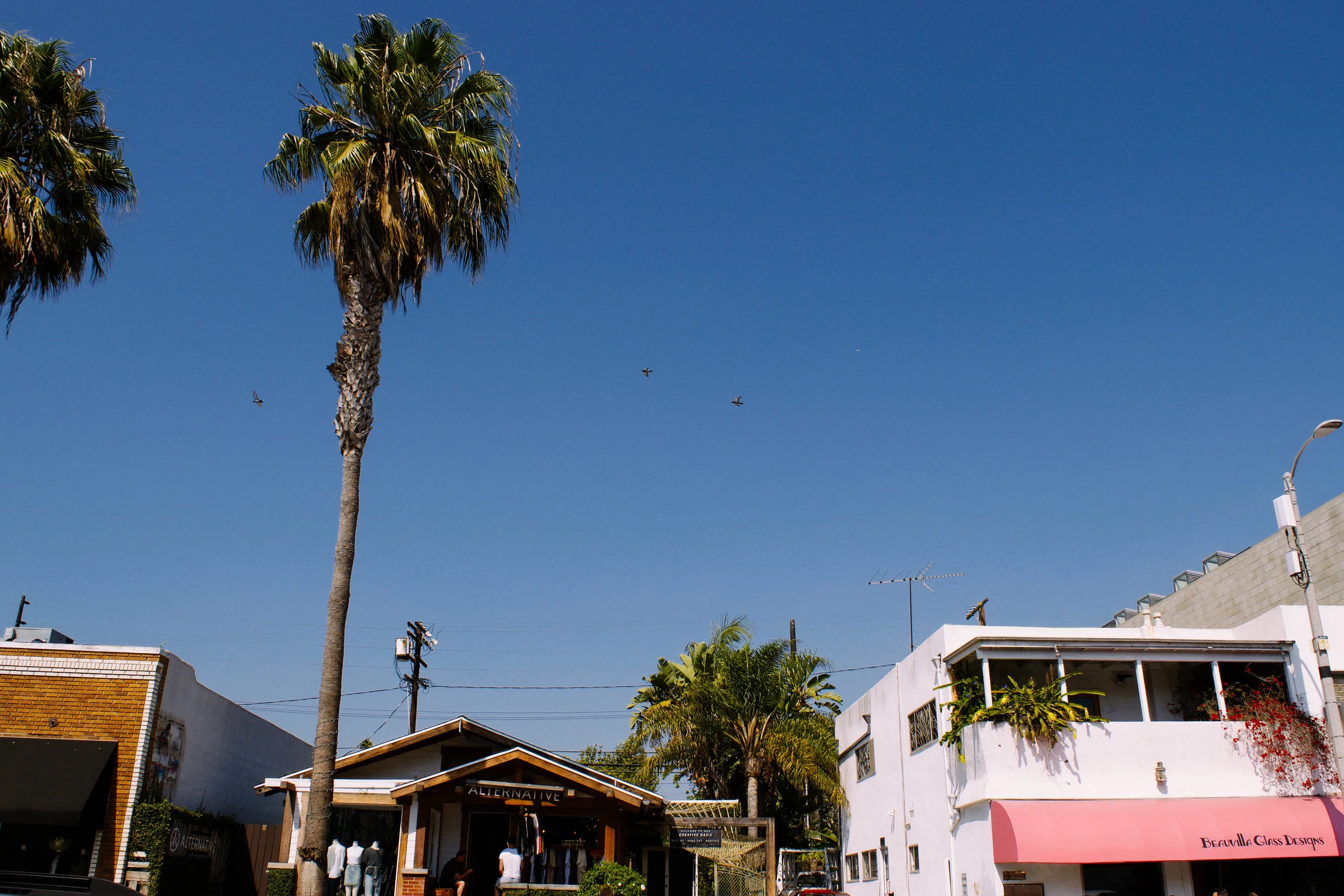 ADVENTURES IN ABBOTT KINNEY - CA (Via: JacinthaPayne.com)