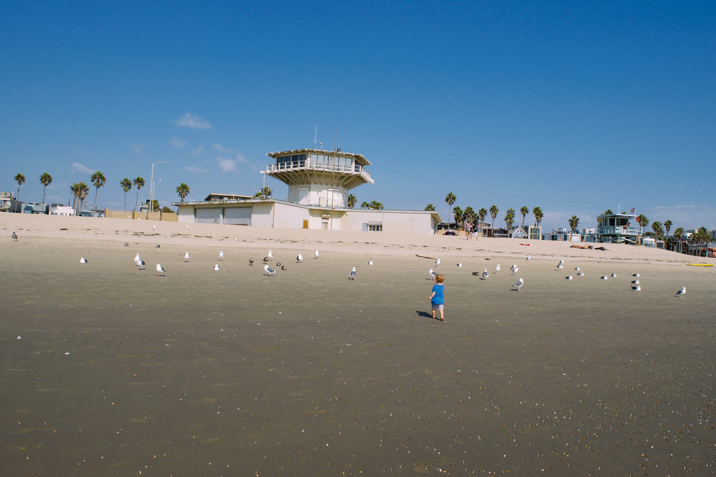 AN AFTERNOON ON VENICE BEACH - CA