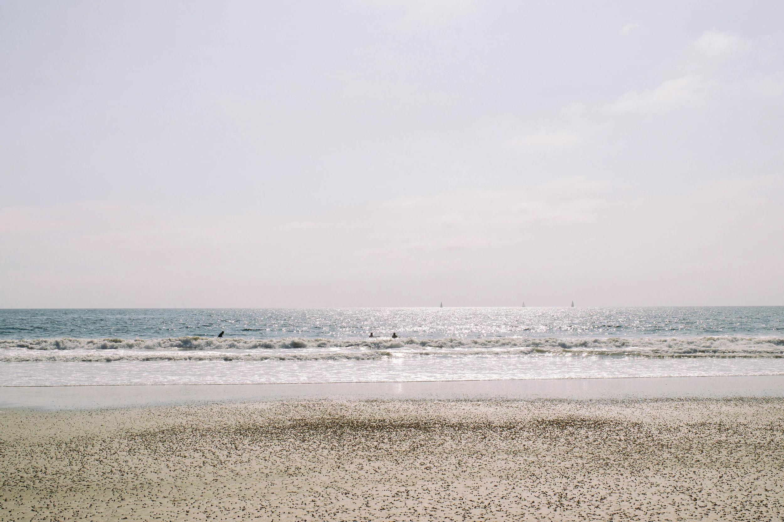 AN AFTERNOON ON VENICE BEACH - CA