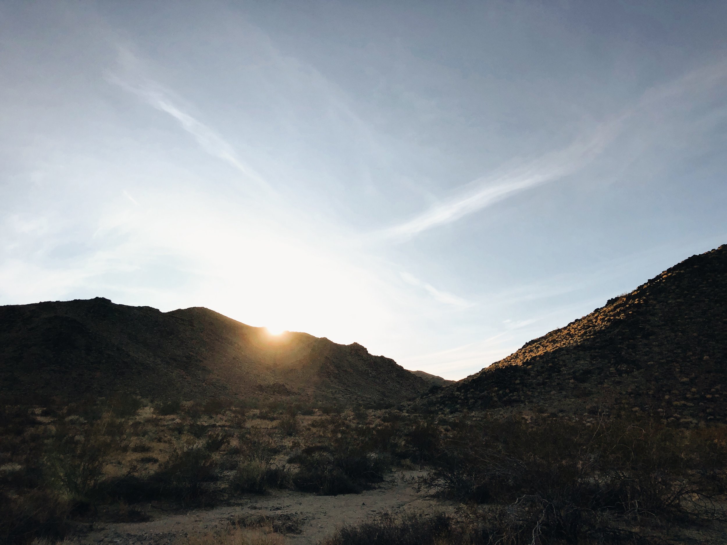 WANDERINGS IN JOSHUA TREE - CA (VIA: JacinthaPayne.com)