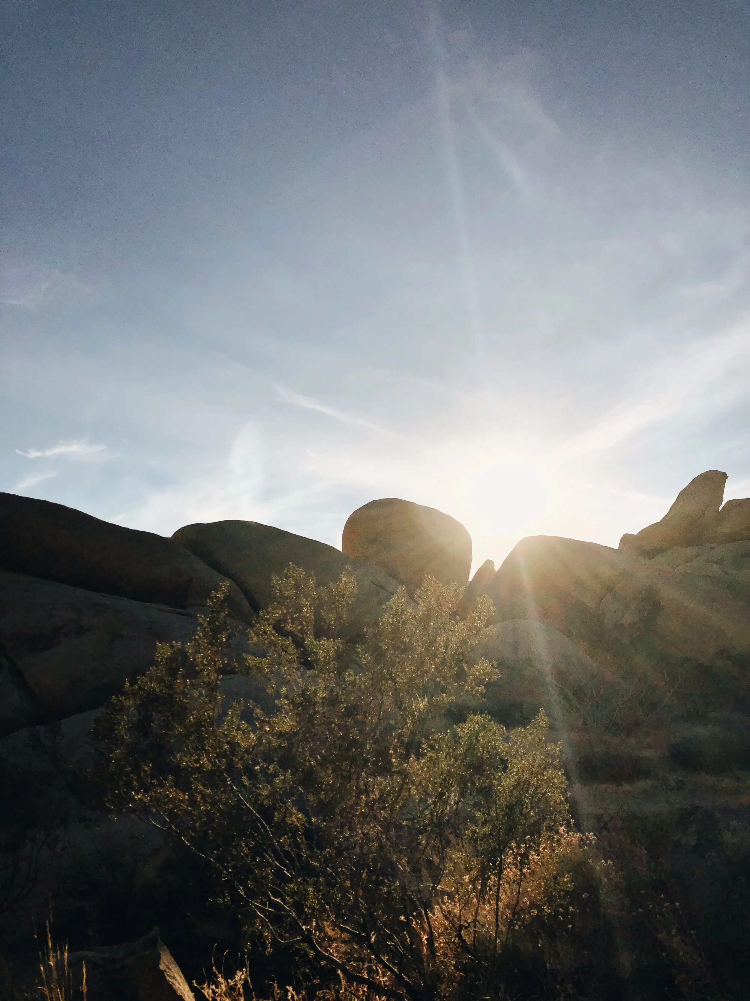 WANDERINGS IN JOSHUA TREE - CA (VIA: JacinthaPayne.com)