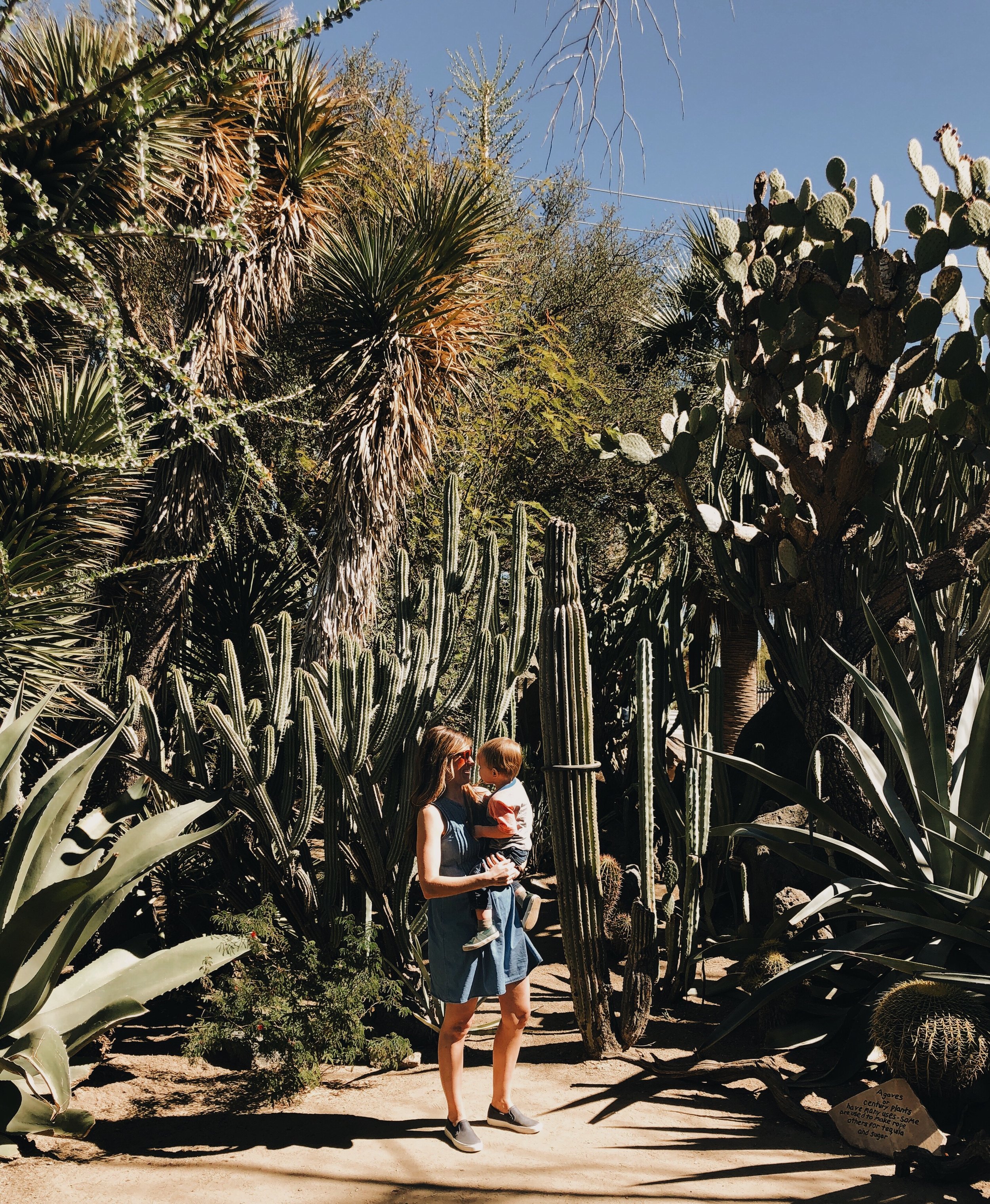 A CHARMING VISIT TO PALM SPRINGS - CA (VIA: JacinthaPayne.com)