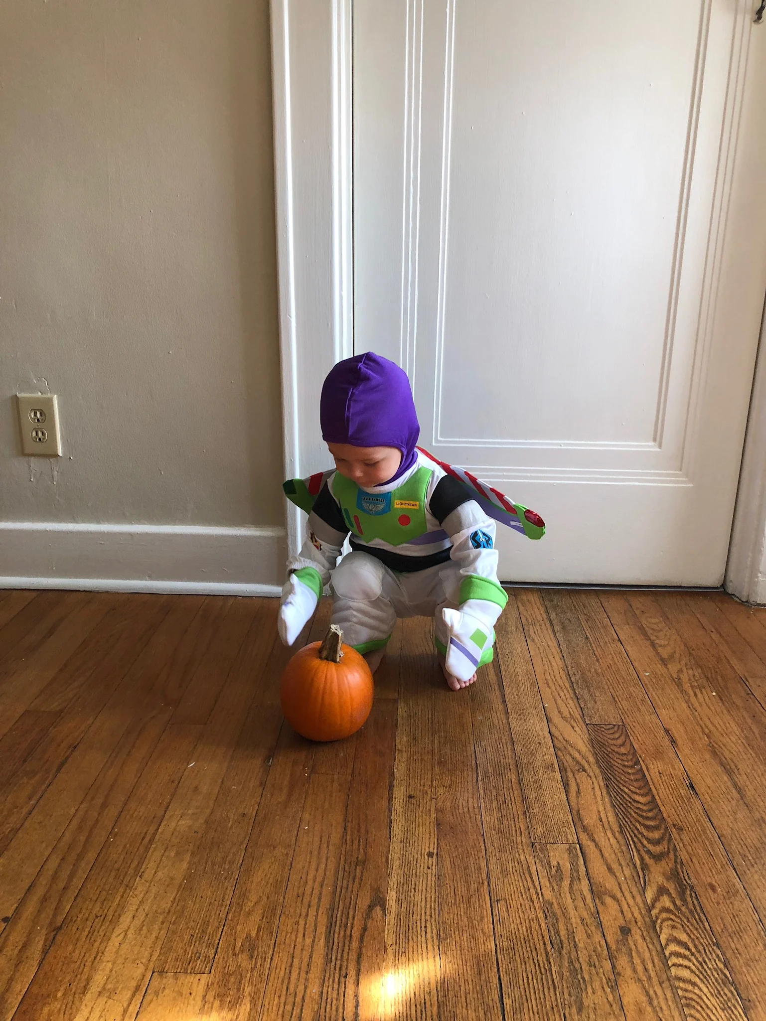 ENTERING THE FALL SEASON (VIA: JacinthaPayne.com)