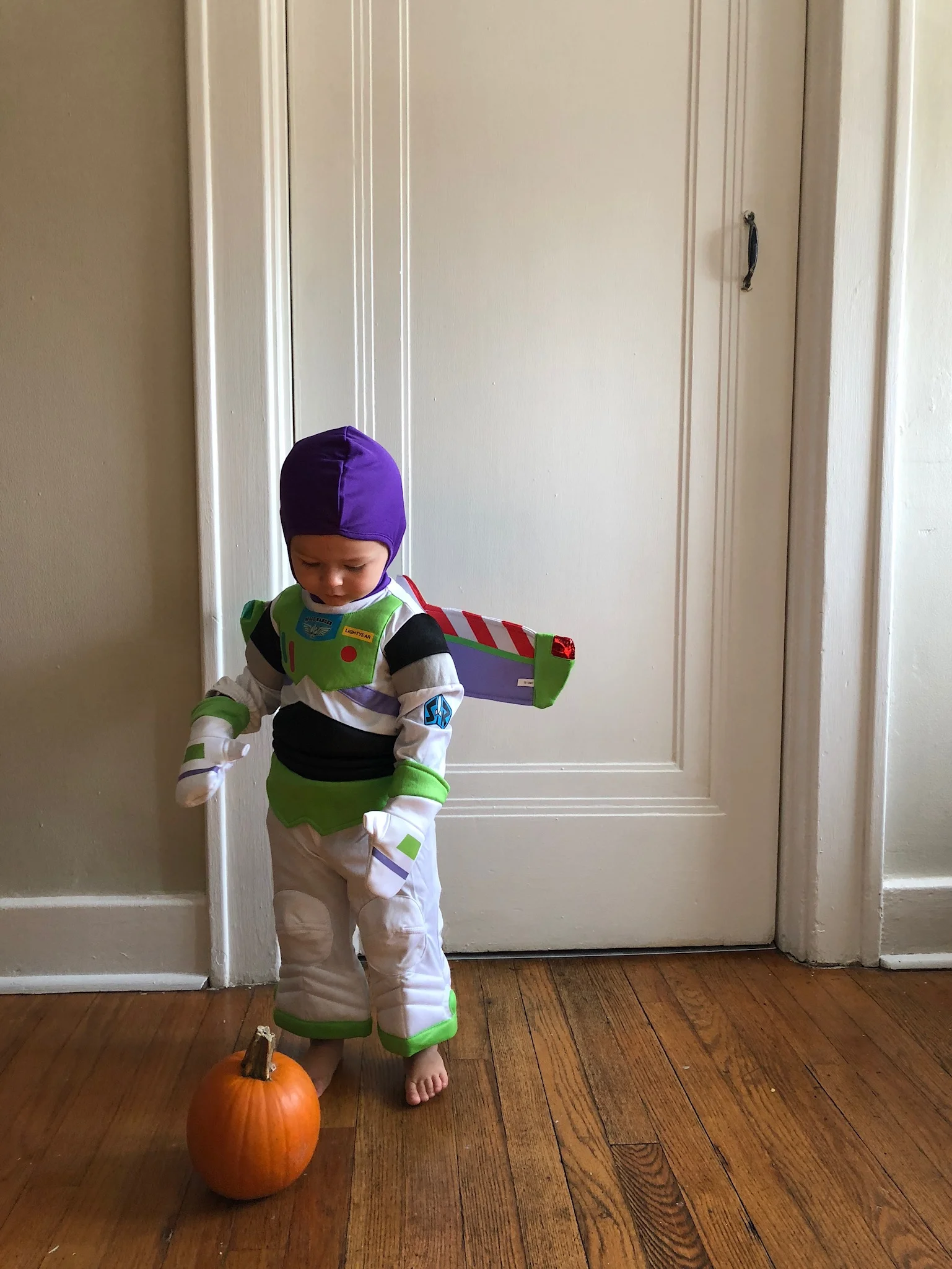 ENTERING THE FALL SEASON (VIA: JacinthaPayne.com)