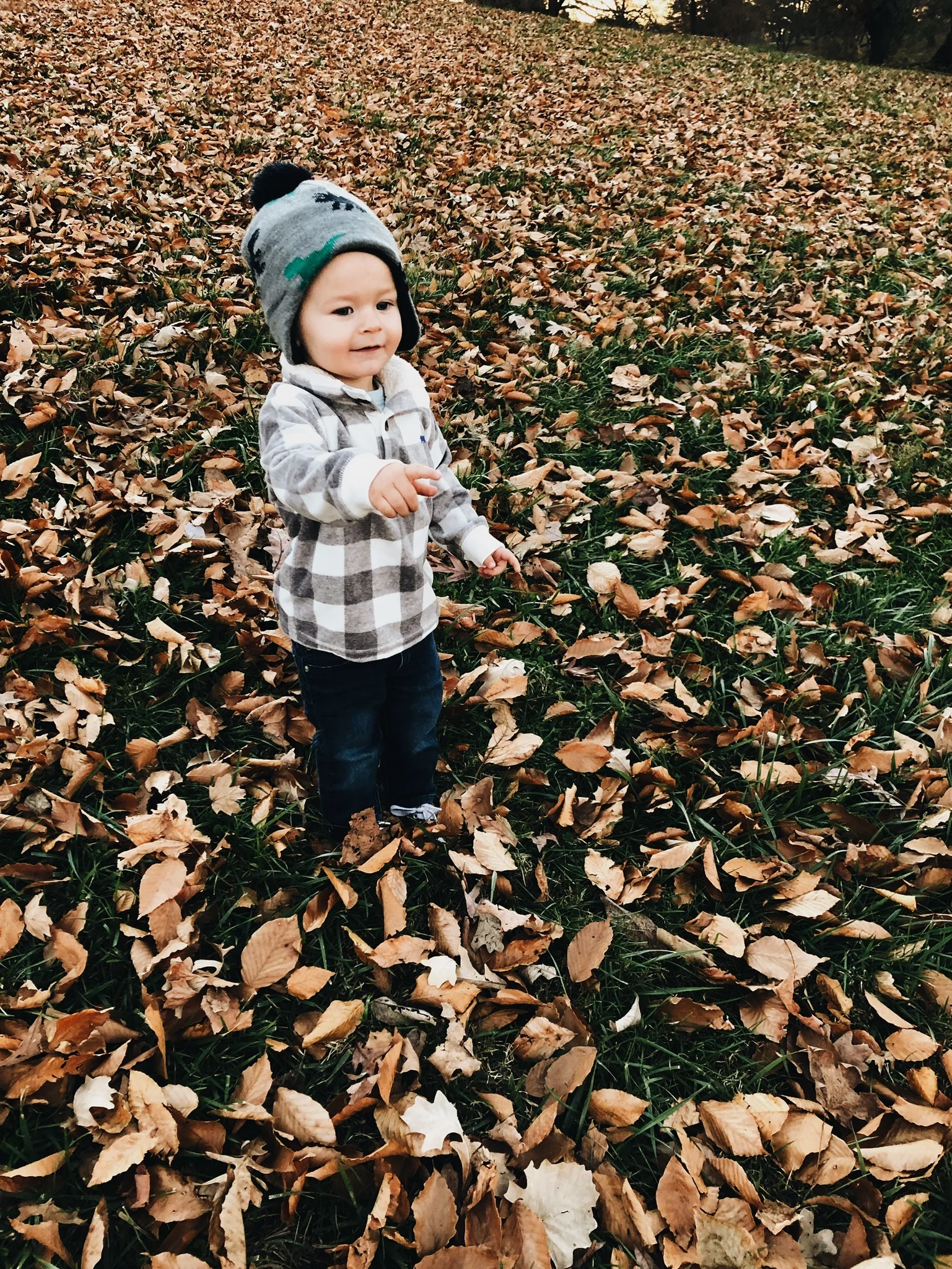 ENTERING THE FALL SEASON - 2017