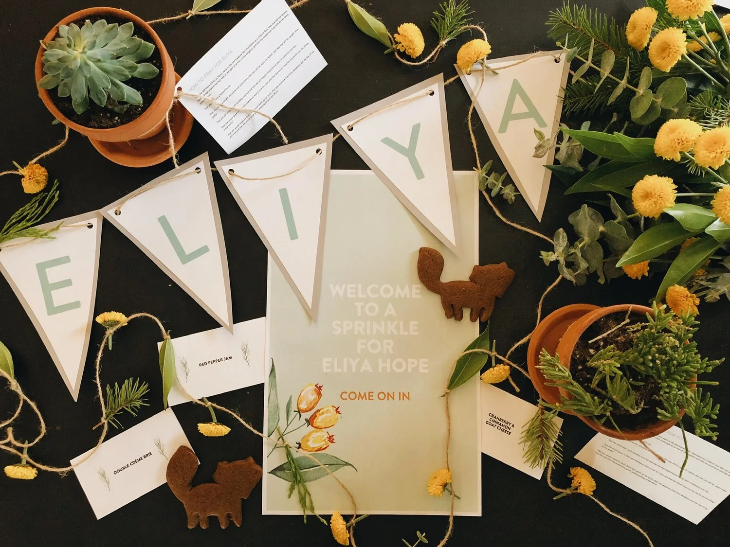 AN INTIMATE BABY SHOWER