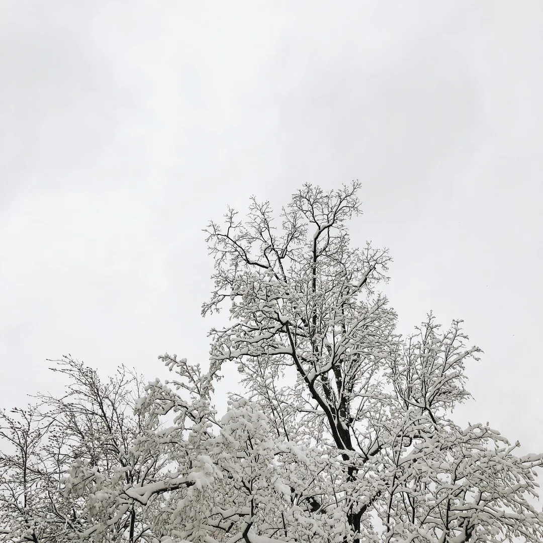 a82aedd576cce4089ada8f65985cb275.jpg