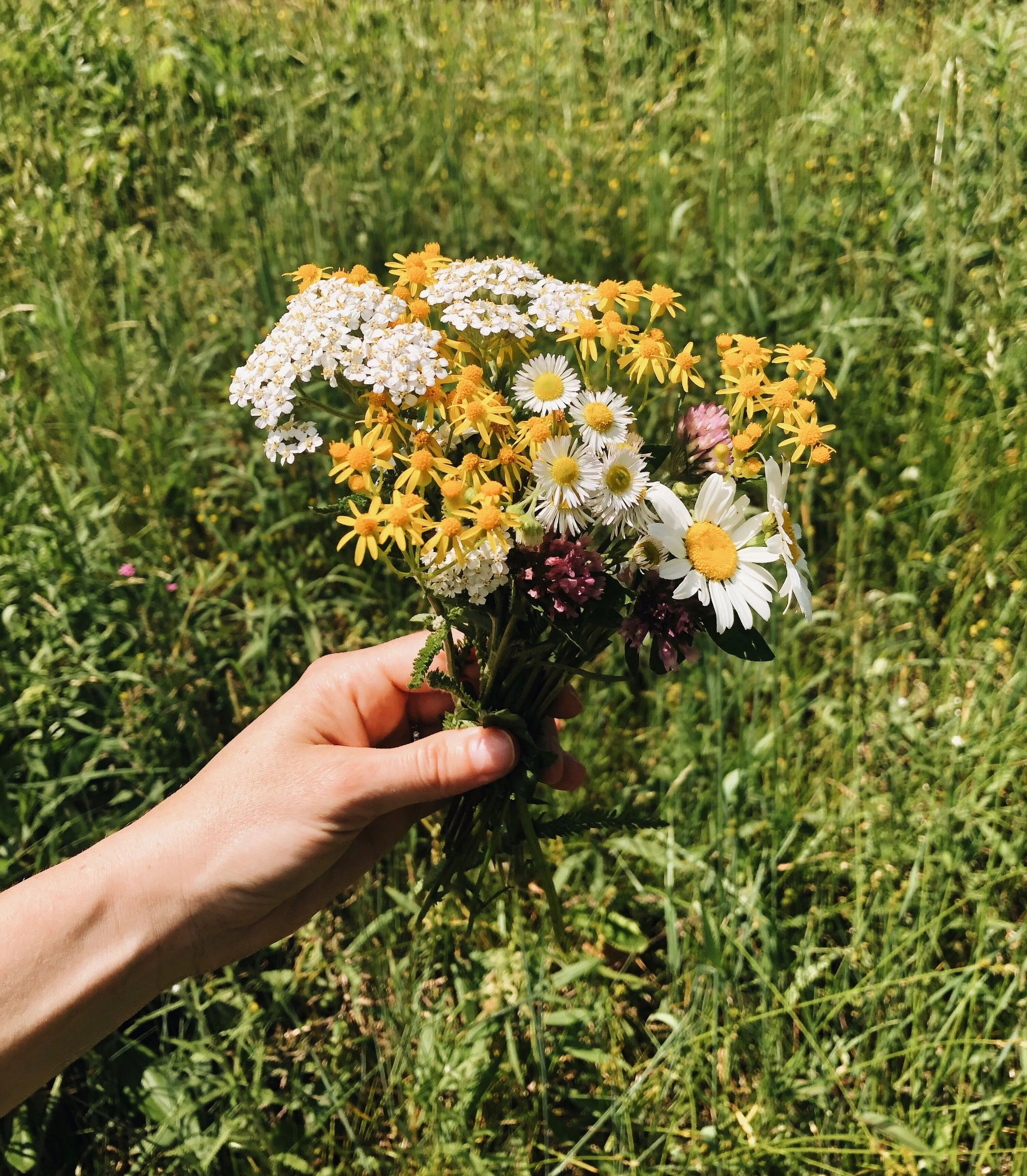 A PAUSE FOR GRATITUDE - VOL 03