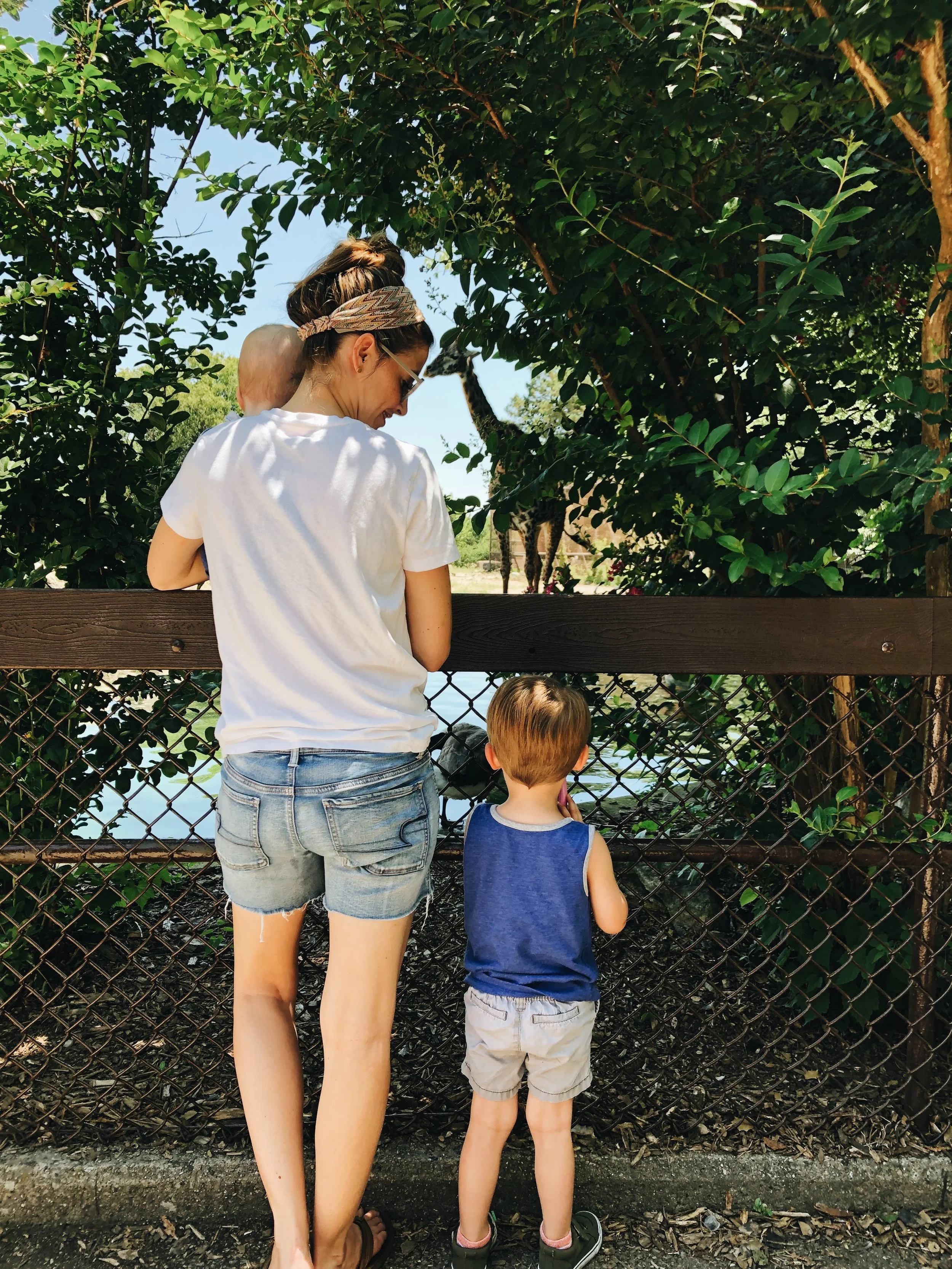 SCENES FROM A FAMILY OUTING - KY