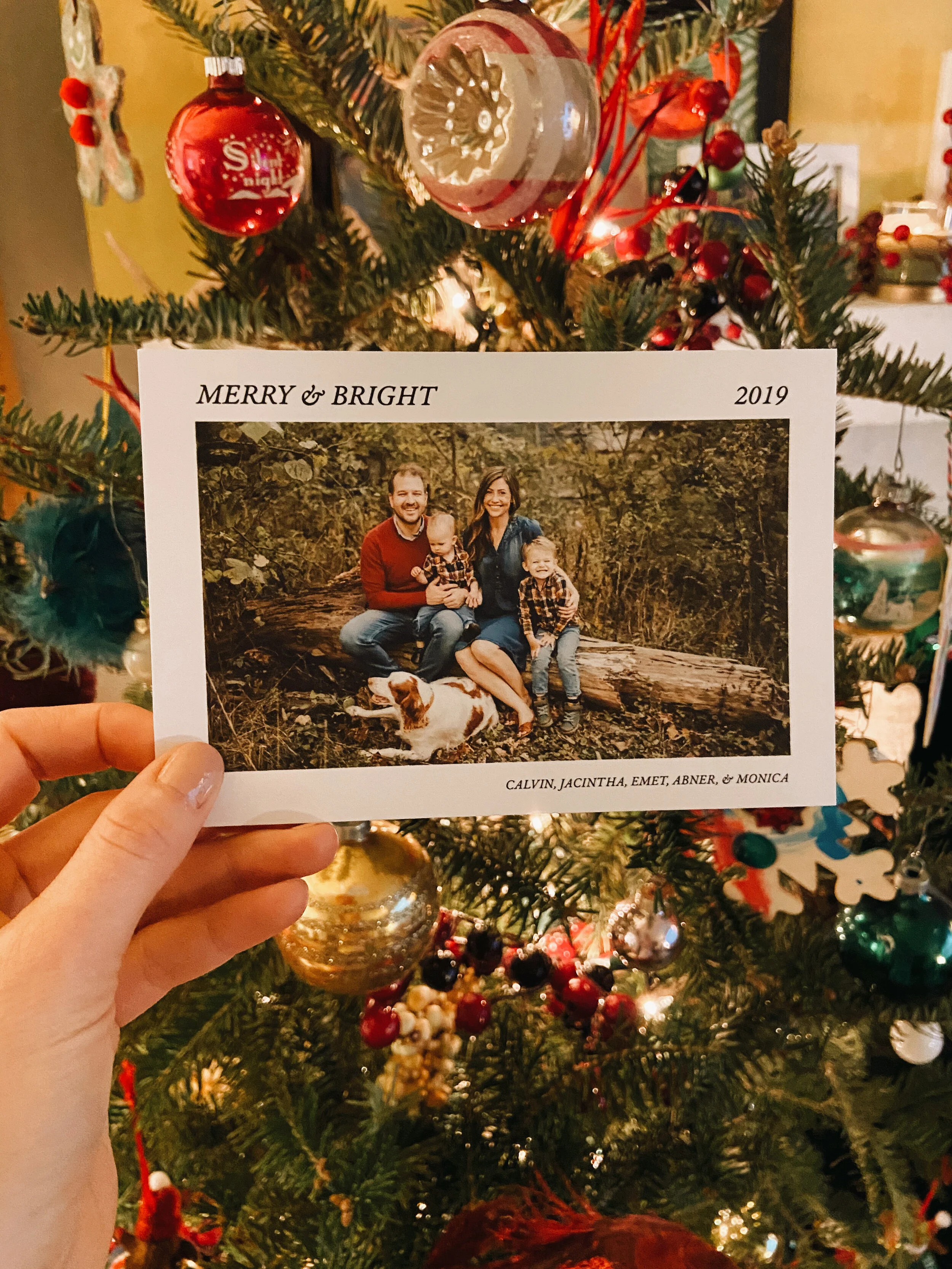 OUR 2019 CHRISTMAS CARD