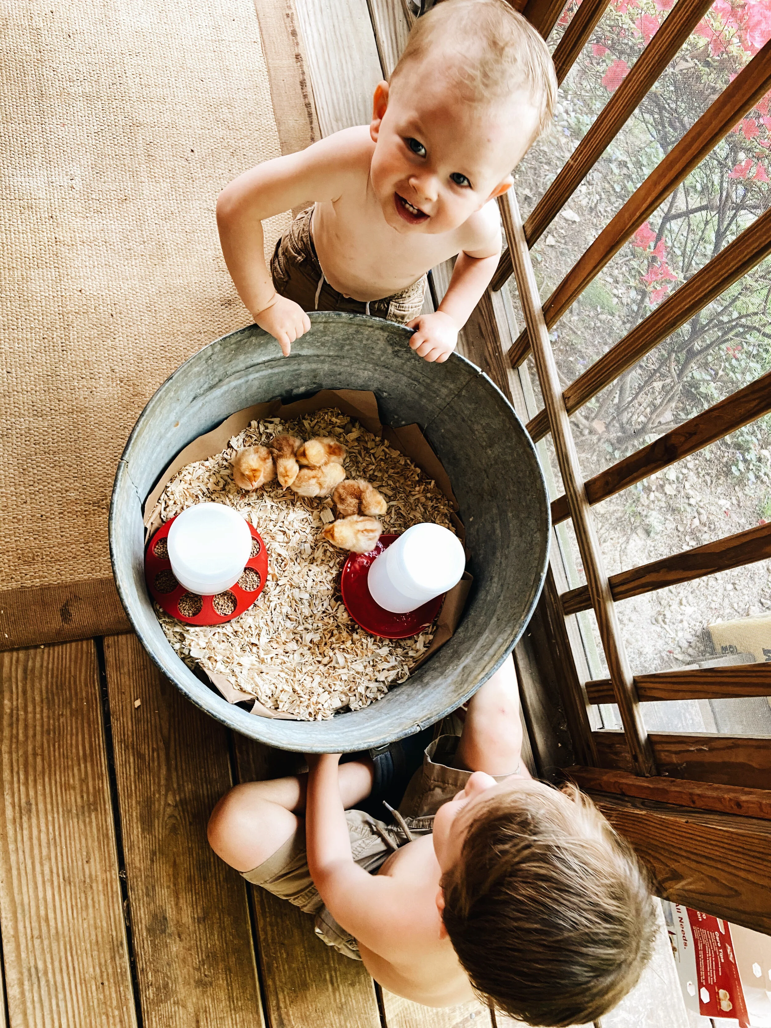 AN EASTER AT HOME  (Via JacinthaPayne.com)