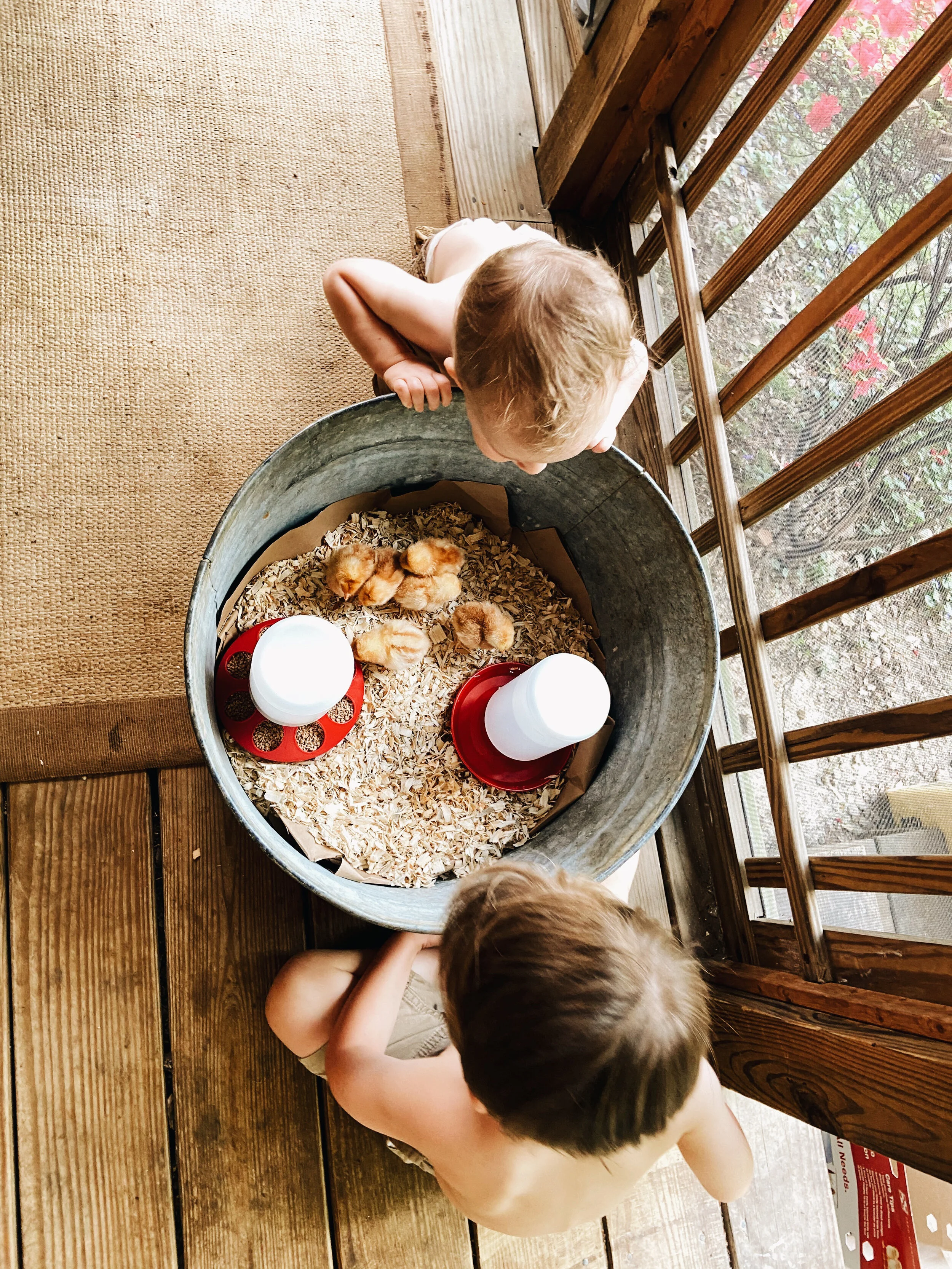 AN EASTER AT HOME  (Via JacinthaPayne.com)