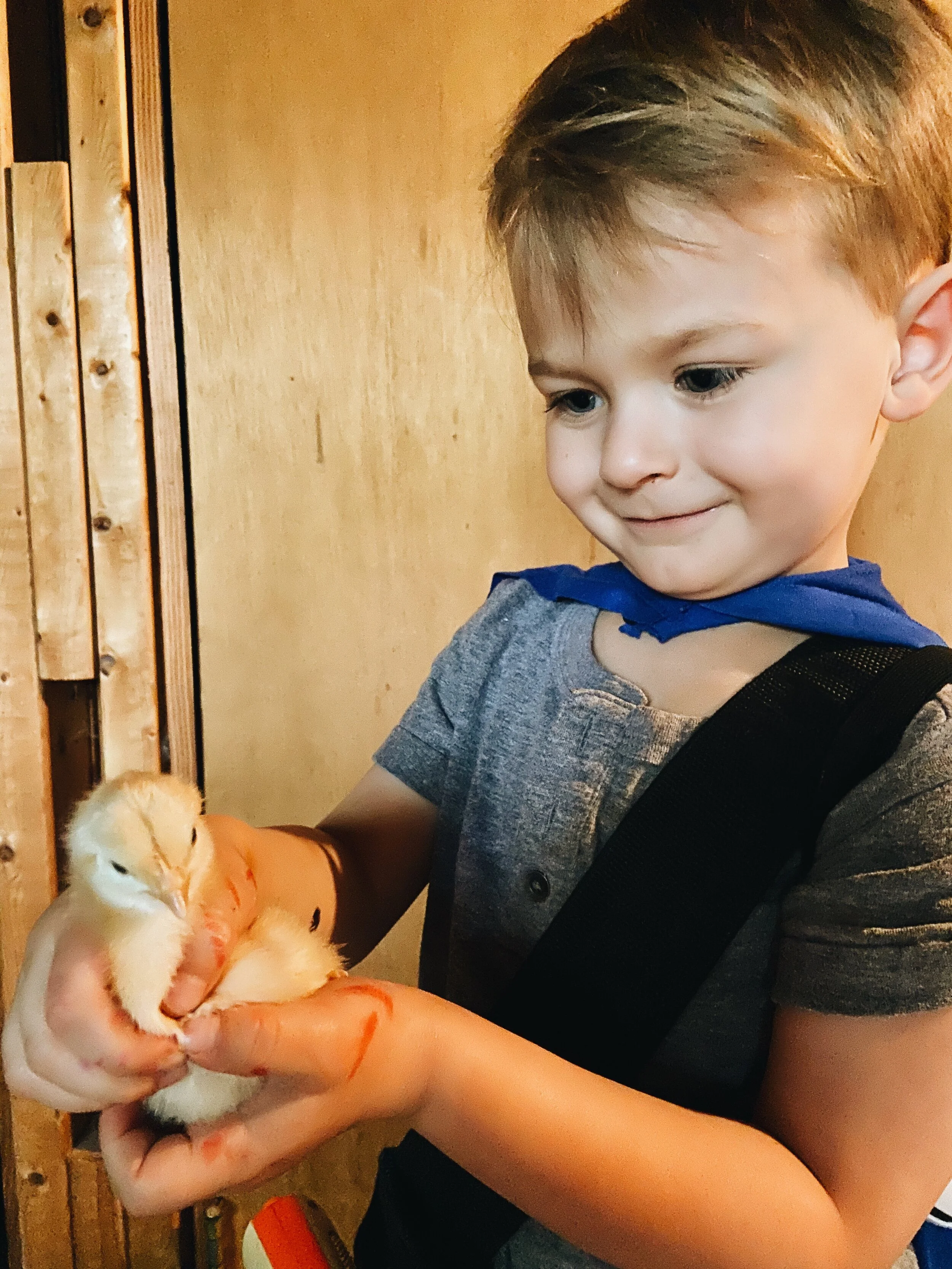 AN EASTER AT HOME  (Via JacinthaPayne.com)