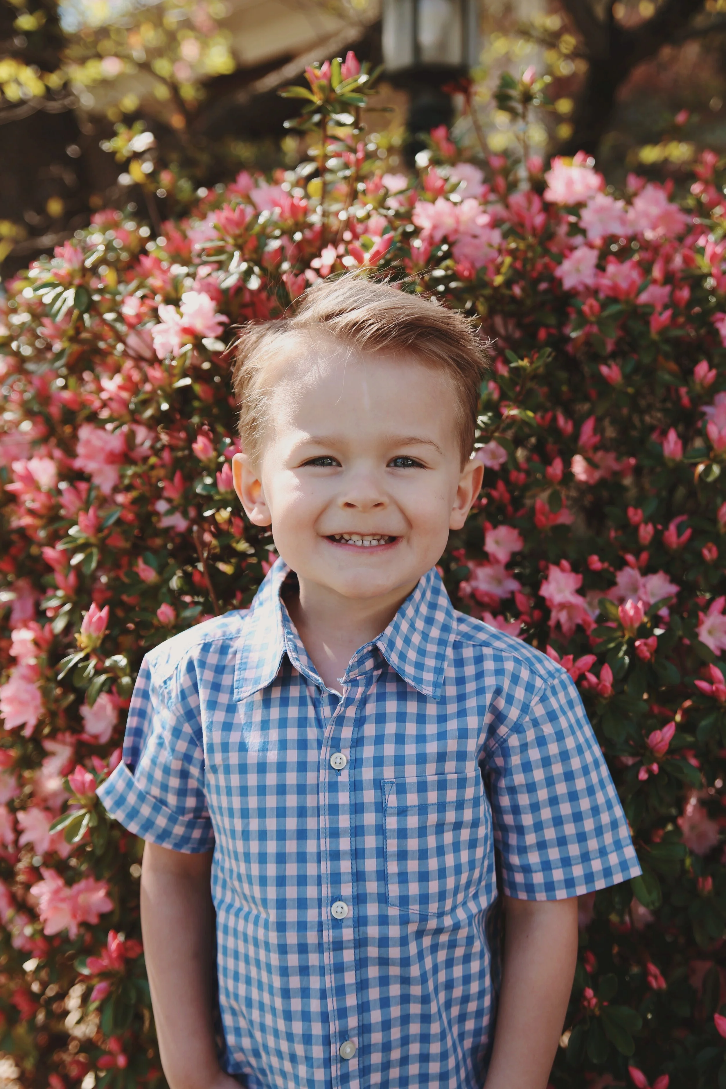 AN EASTER AT HOME  (Via JacinthaPayne.com)