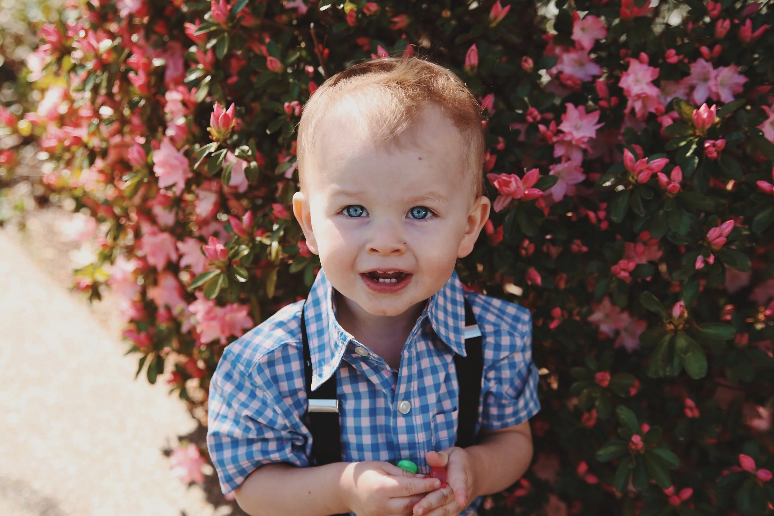 AN EASTER AT HOME  (Via JacinthaPayne.com)