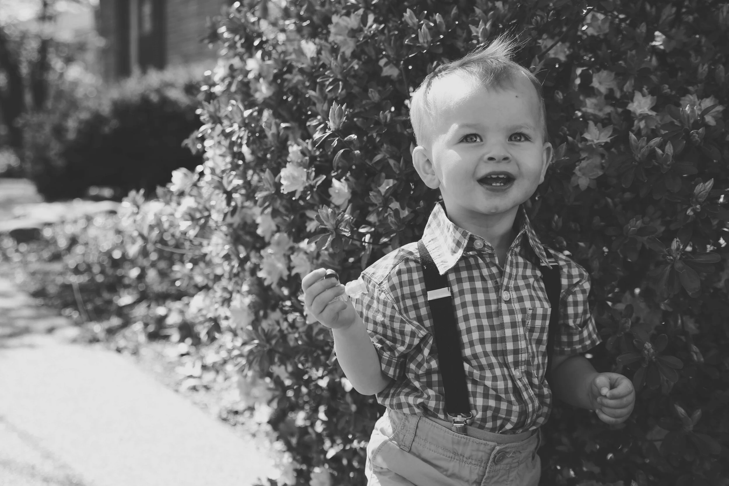 AN EASTER AT HOME  (Via JacinthaPayne.com)